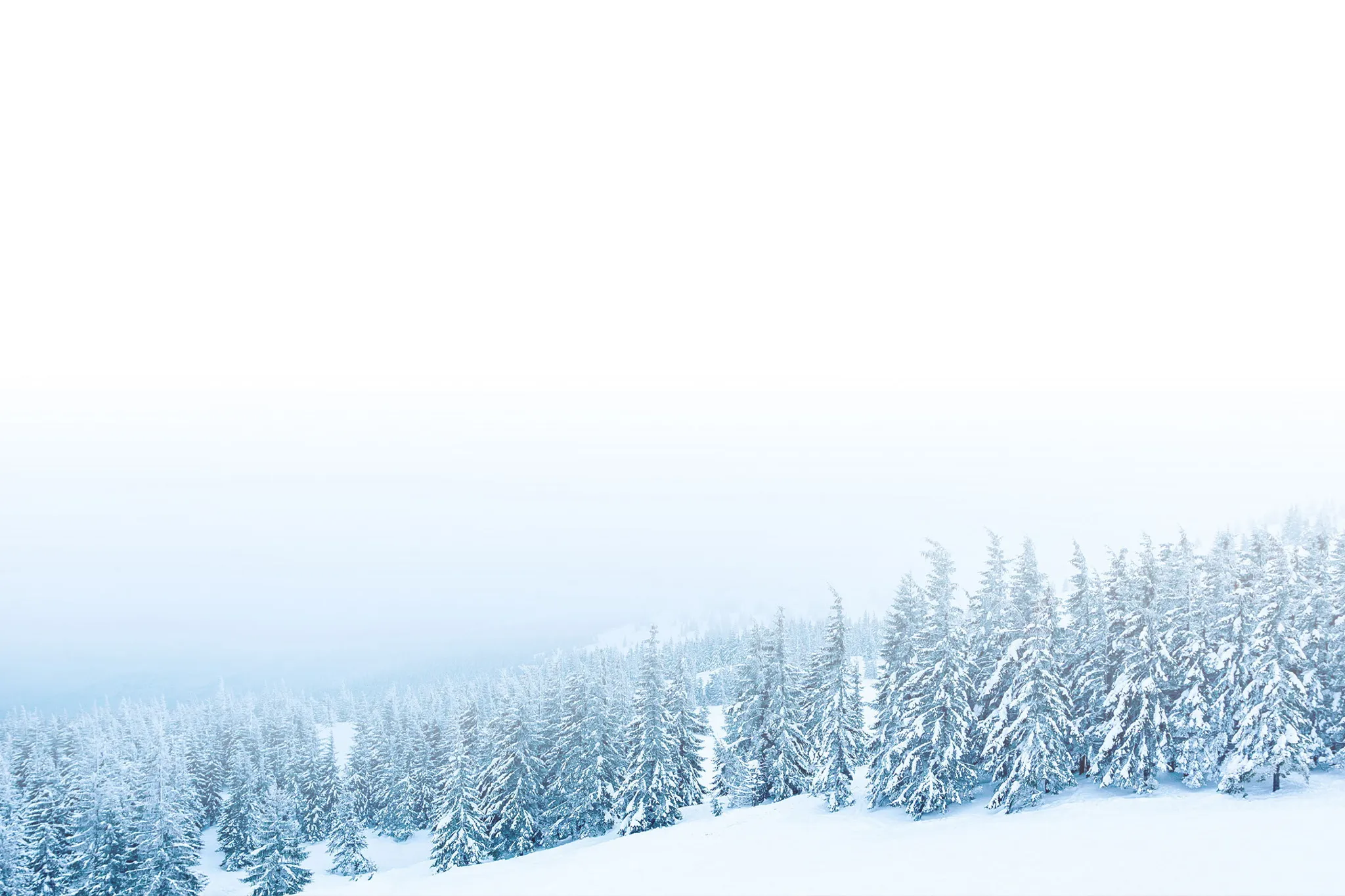 r3118-fwe-2025---banner-17447202553959.jpg