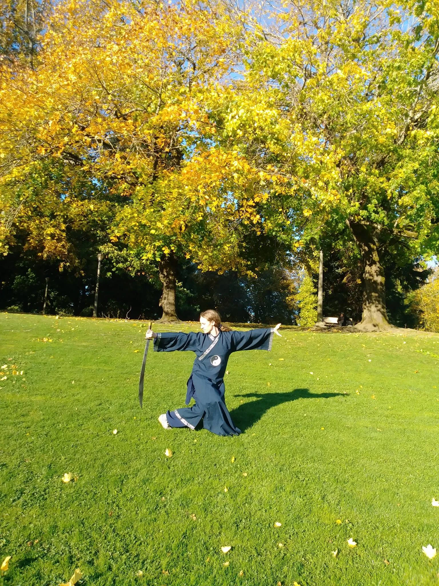 2287-wudang-saber-16894470647152.jpg