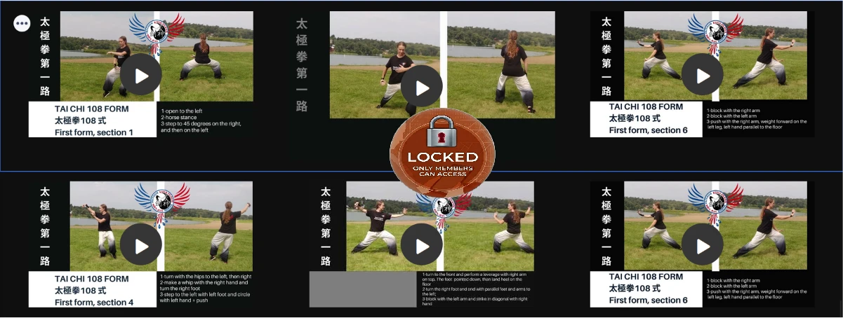 2536-tai-chi-image-17818138701756.png