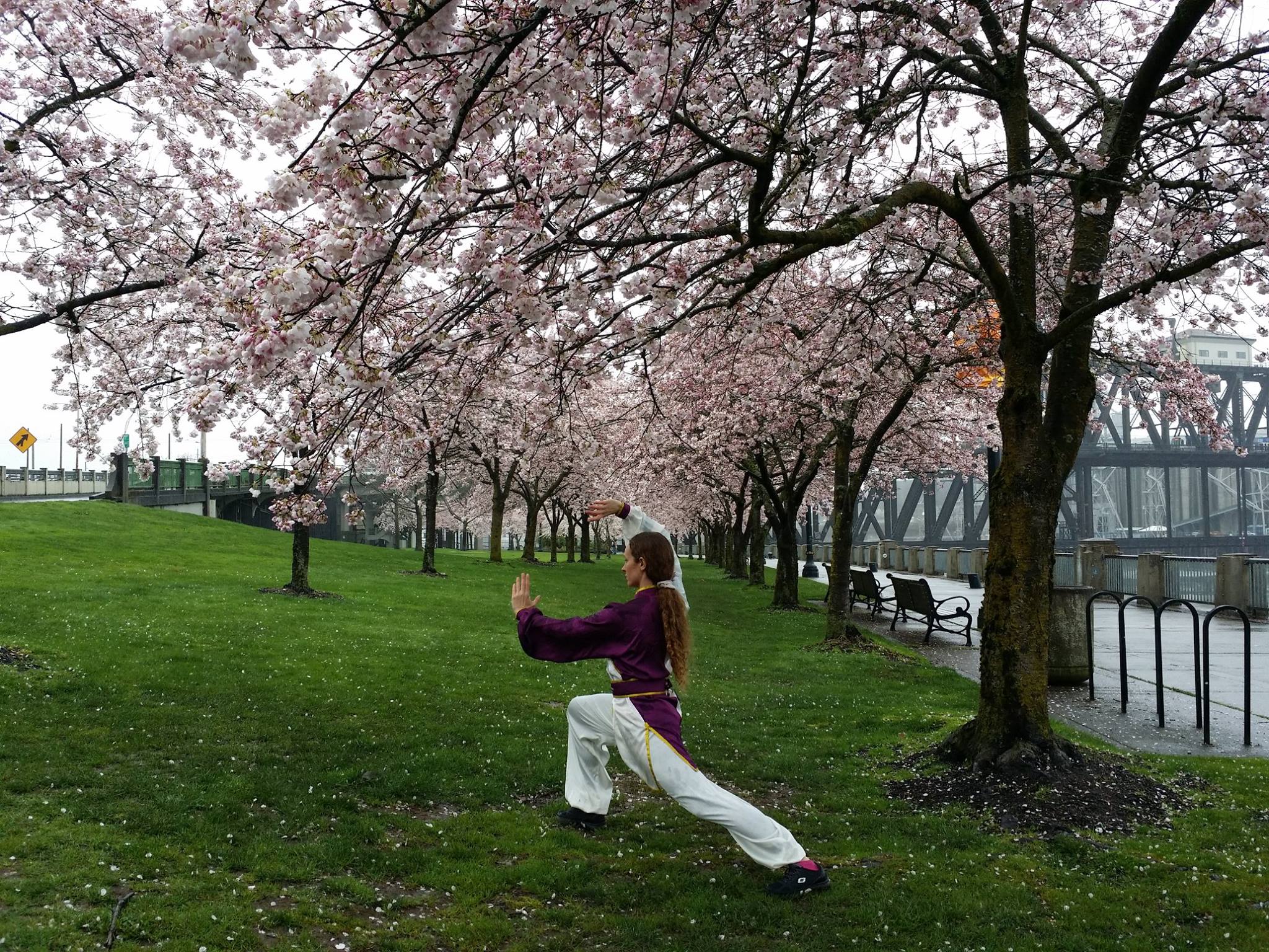 744-spring-tai-chi-1.jpg