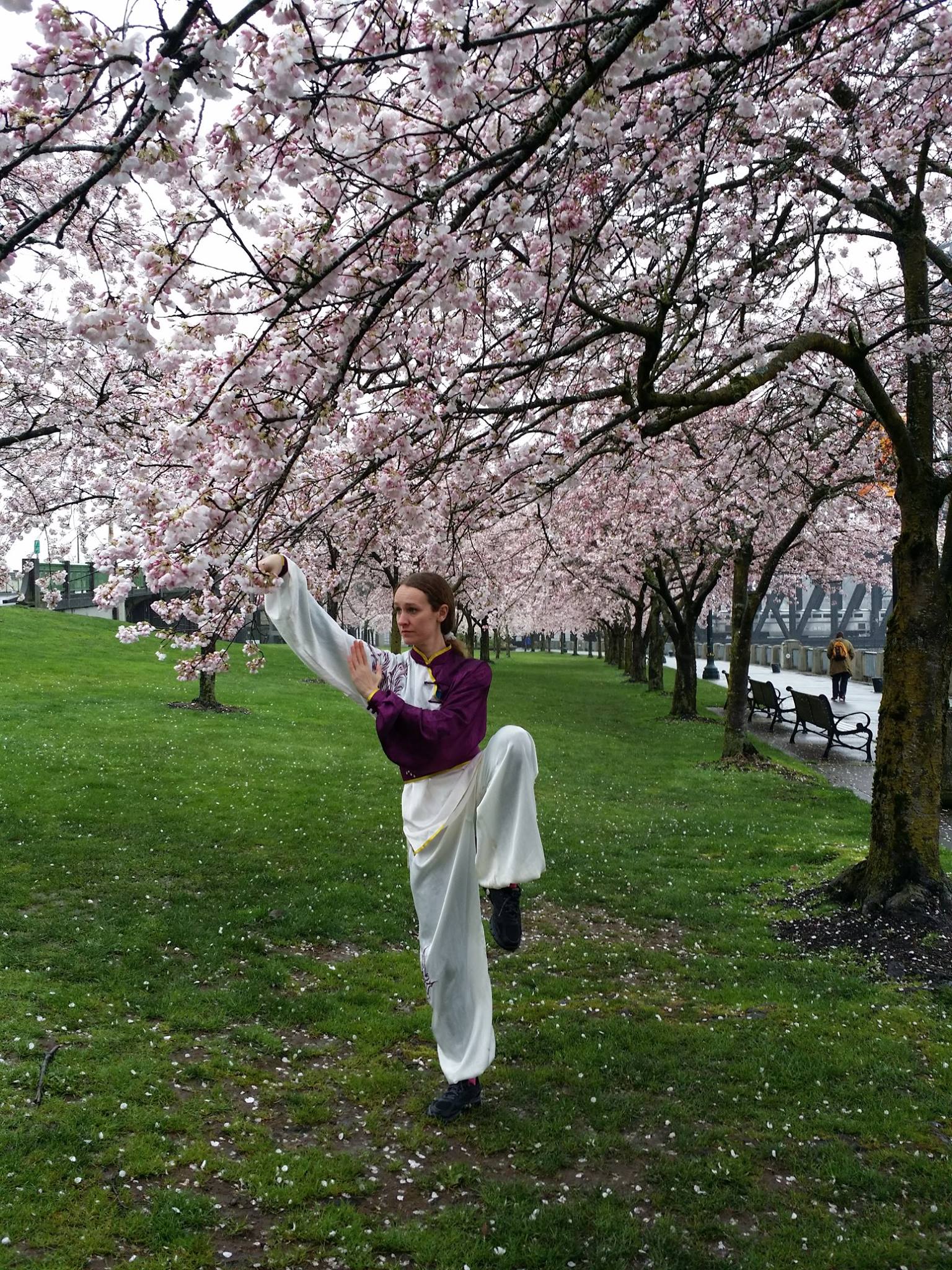 744-spring-tai-chi.jpg