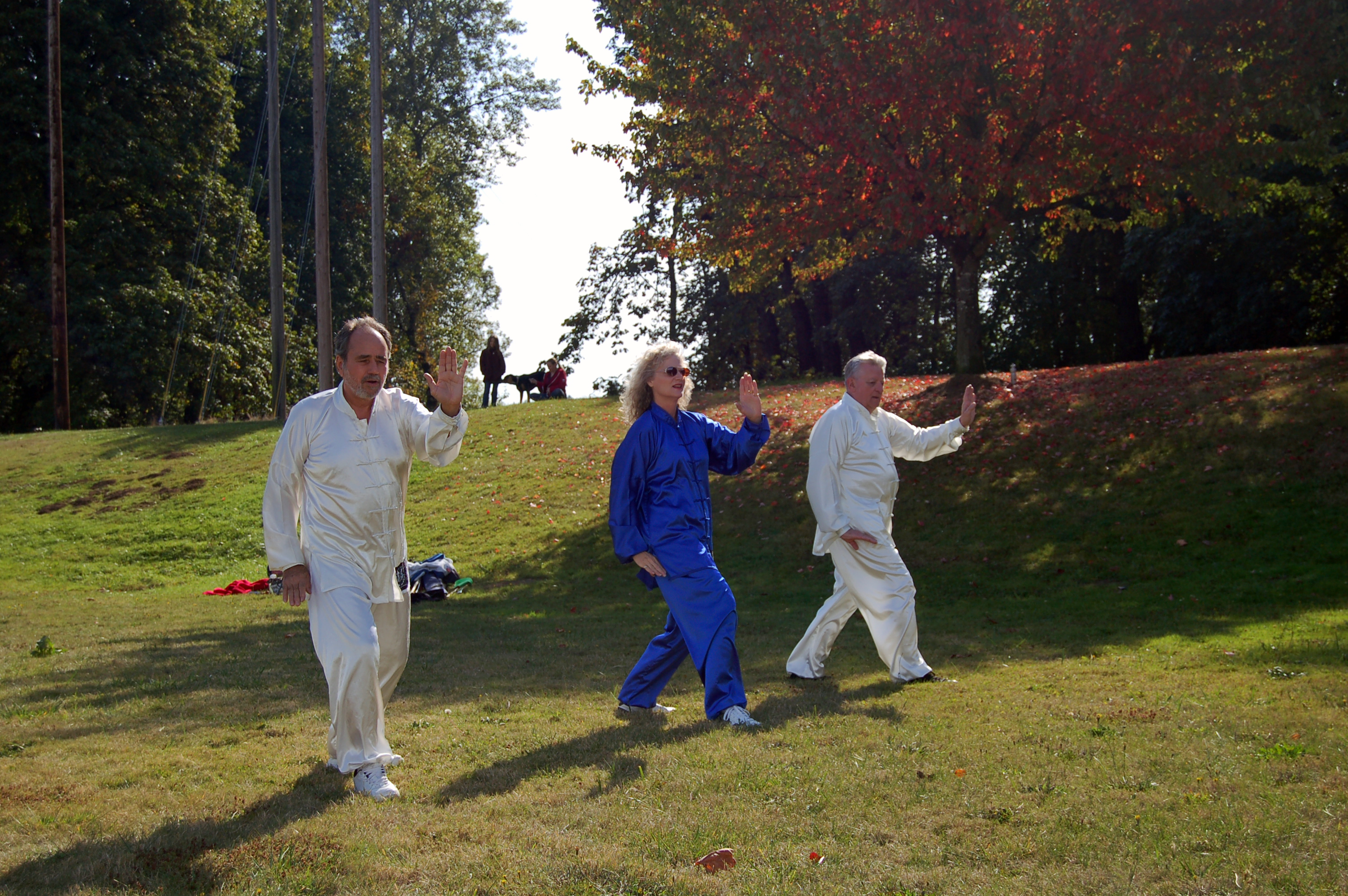 744-tai-chi-parkjpg.jpg