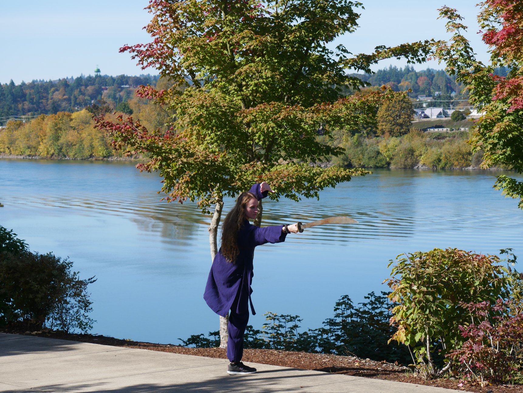 744-tai-chi-saber-1.jpg