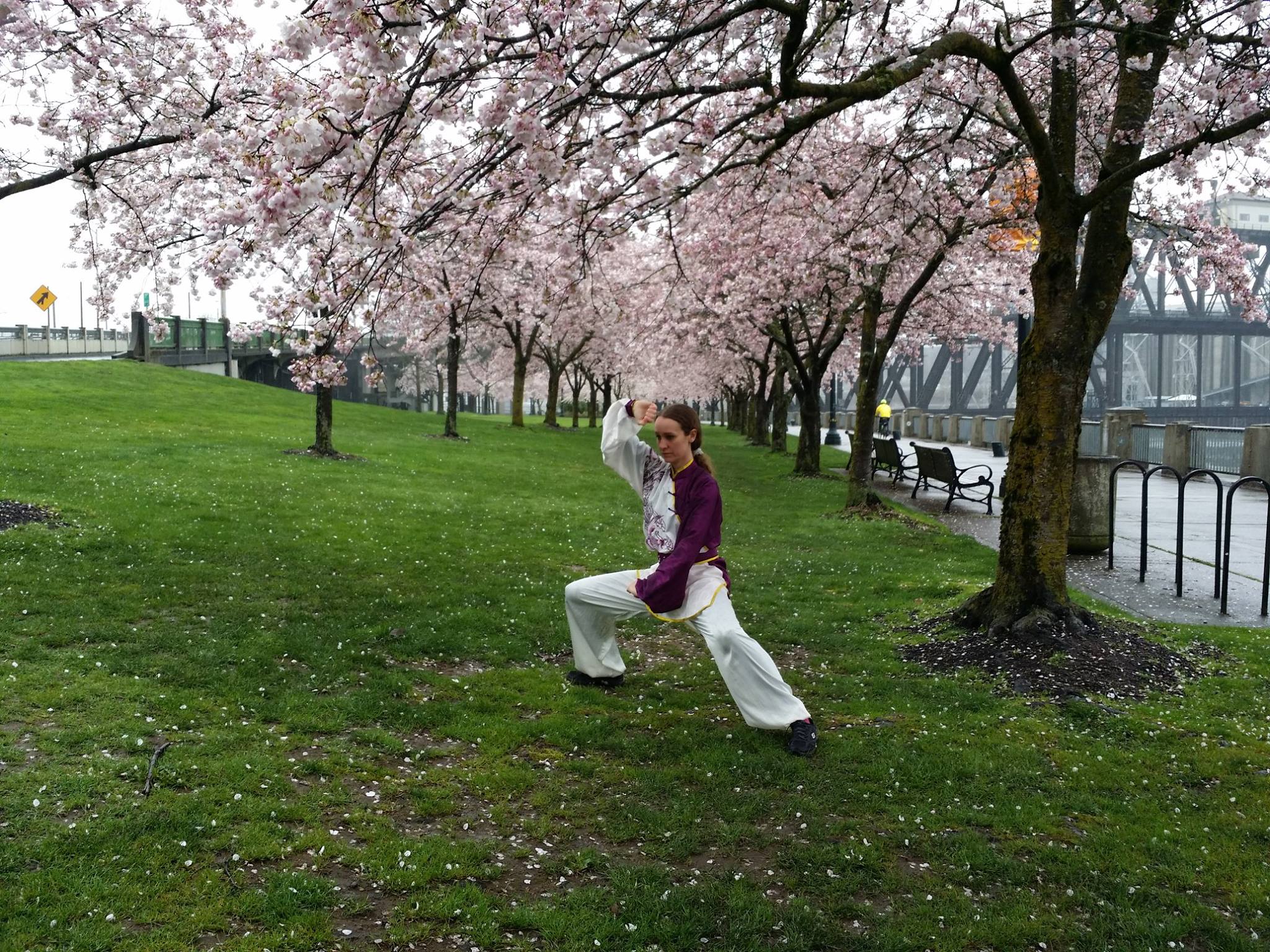 744-tai-chi-spring-3.jpg