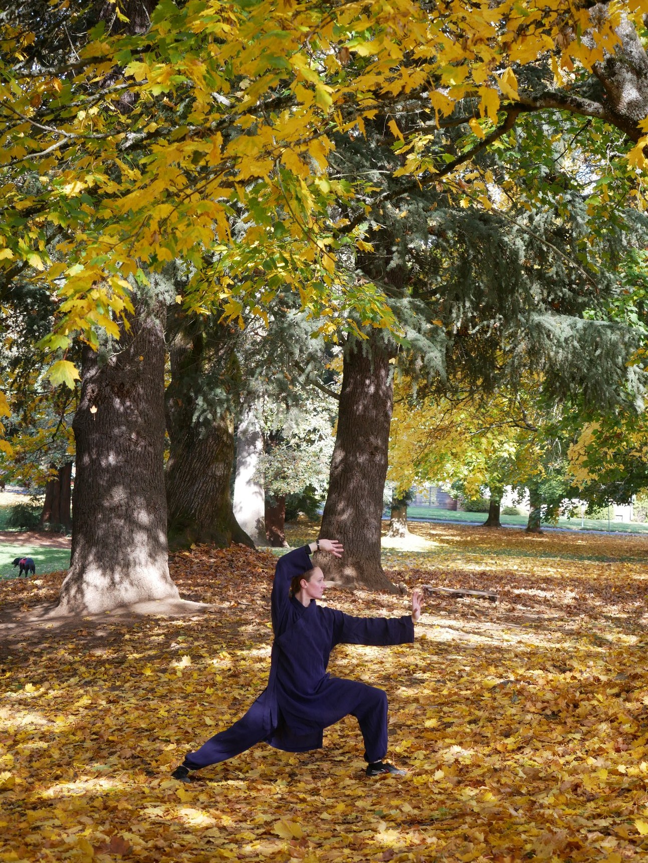 744-tai-chi.jpg