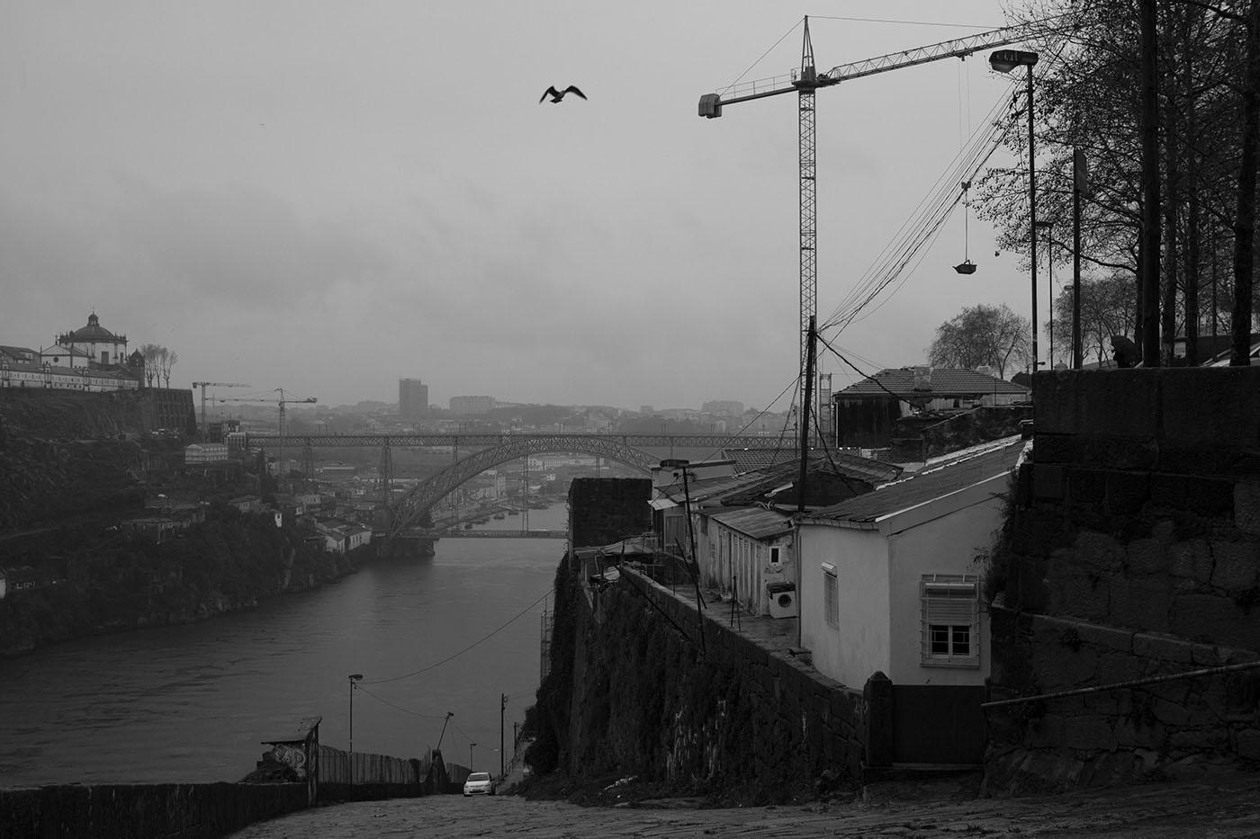 106-0111.jpg