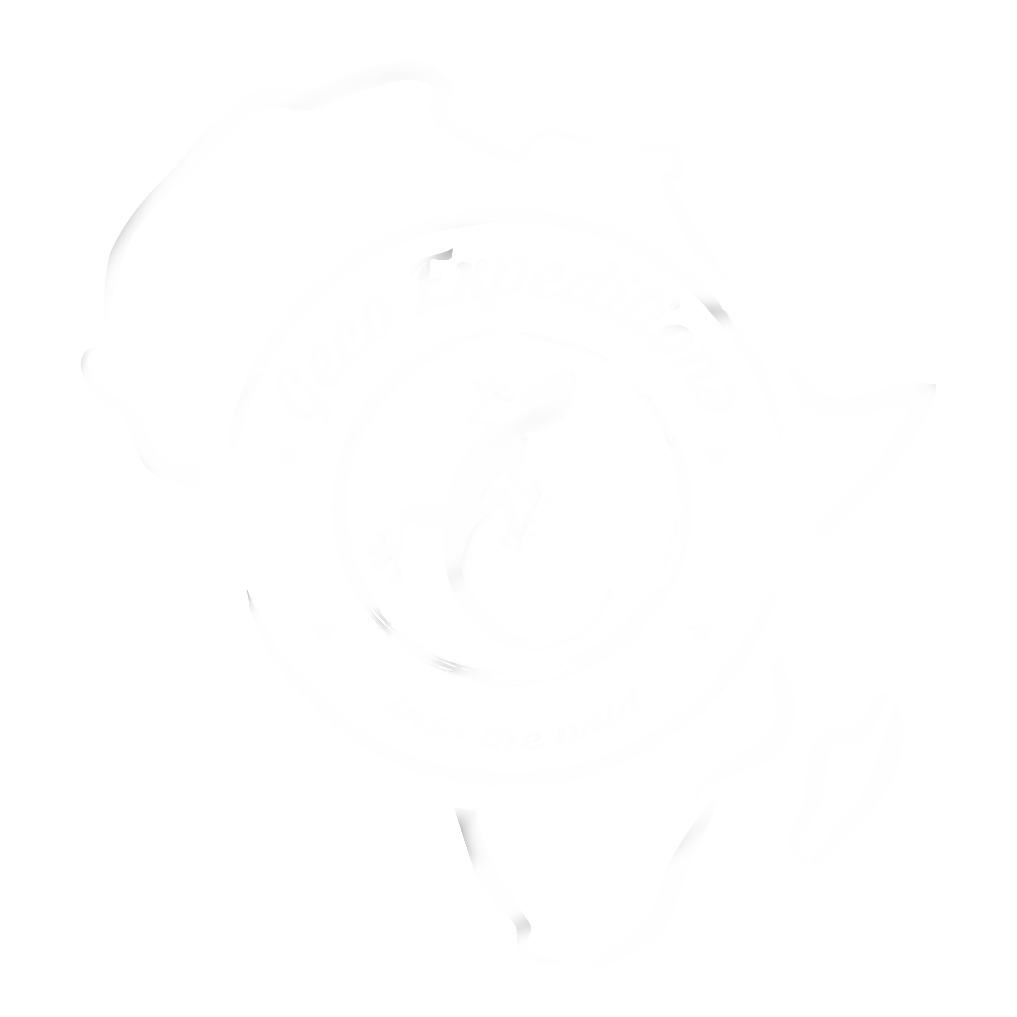 318-geco-expeditions-new-logo-white.png