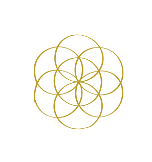 1572-kosmische-zeichenlebensblume-17327901584319.png