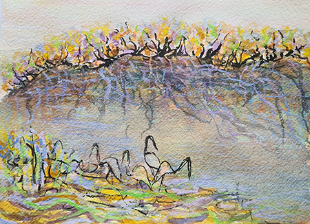 Mangrove watercolour study