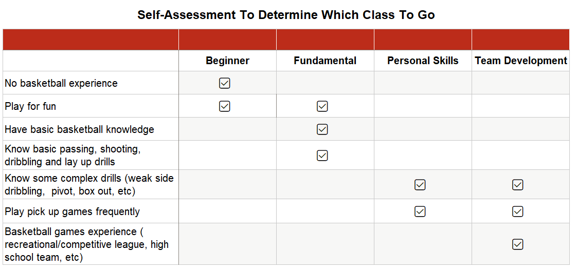 2813-self-assess-table-16611467461873.png