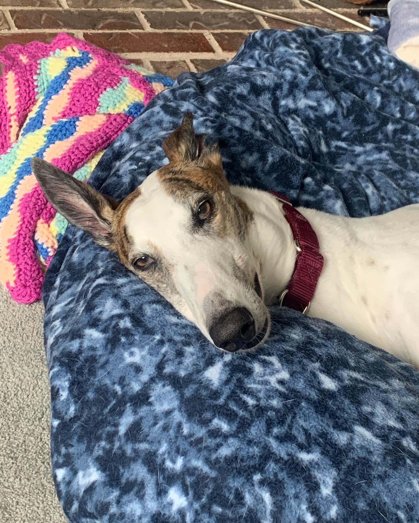 MRL Fifty Proof - Fitty 2221-3350716455079448513071091962220976755934188n-16782103113764.jpg