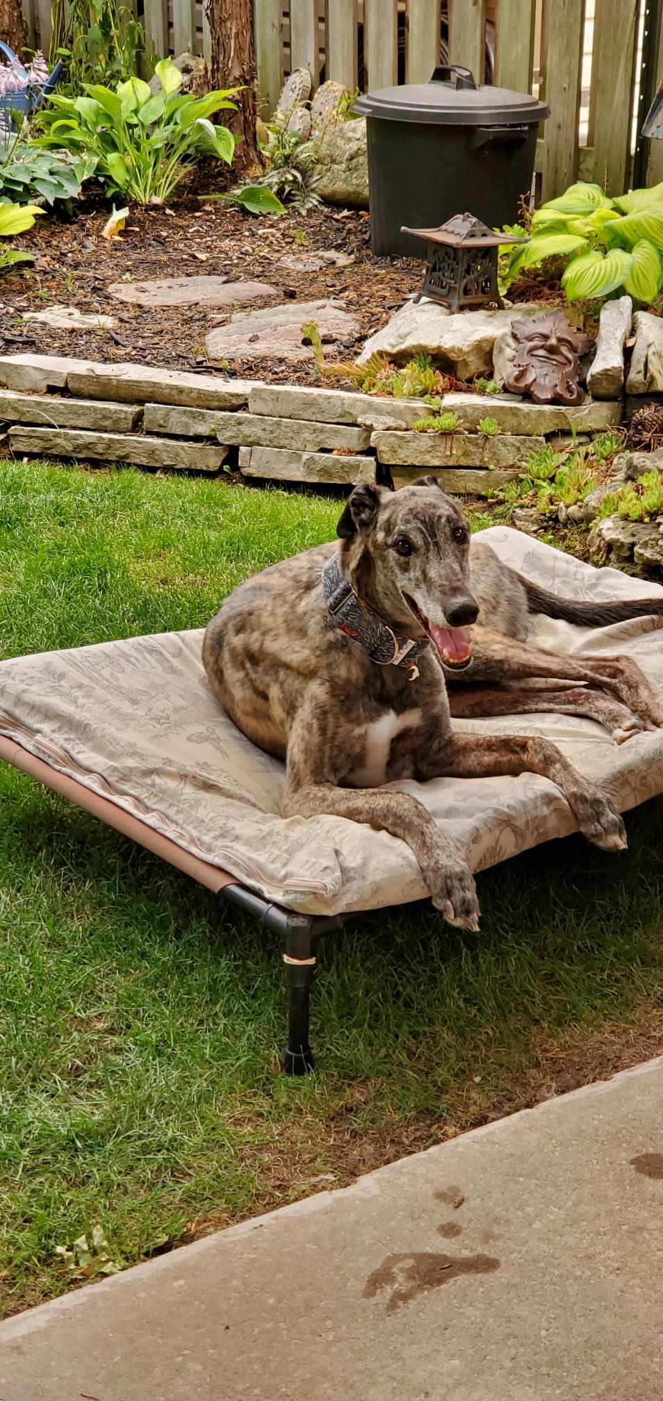 AMF Wichwinsoton - Winston 2221-36111274110875040288828604557233014453772056n-16895294283478.jpg