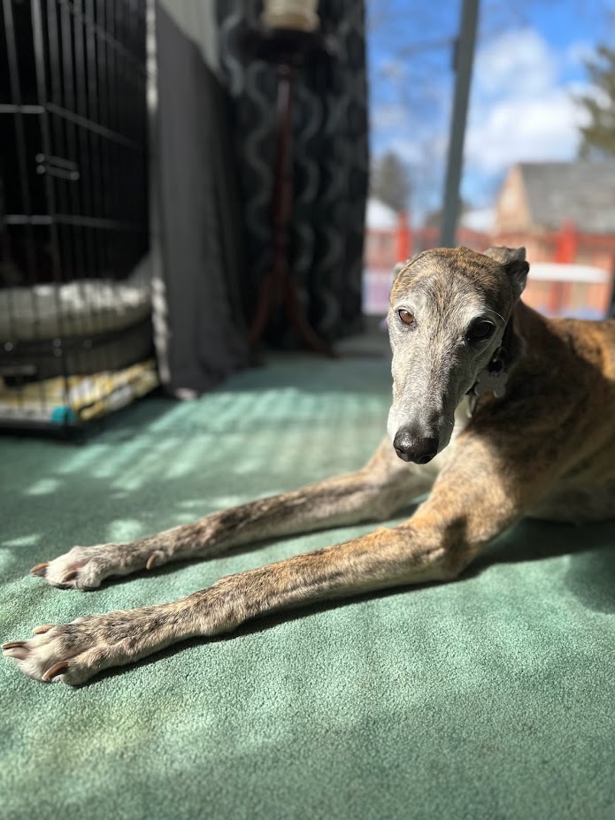 Flying Practical - Prac 2221-img4409-16782103111213.jpg