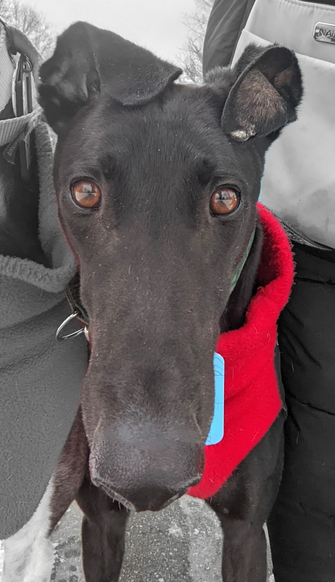 Bold Justin - Justin 2221-pxl202302272110306802-16782104849135.jpg