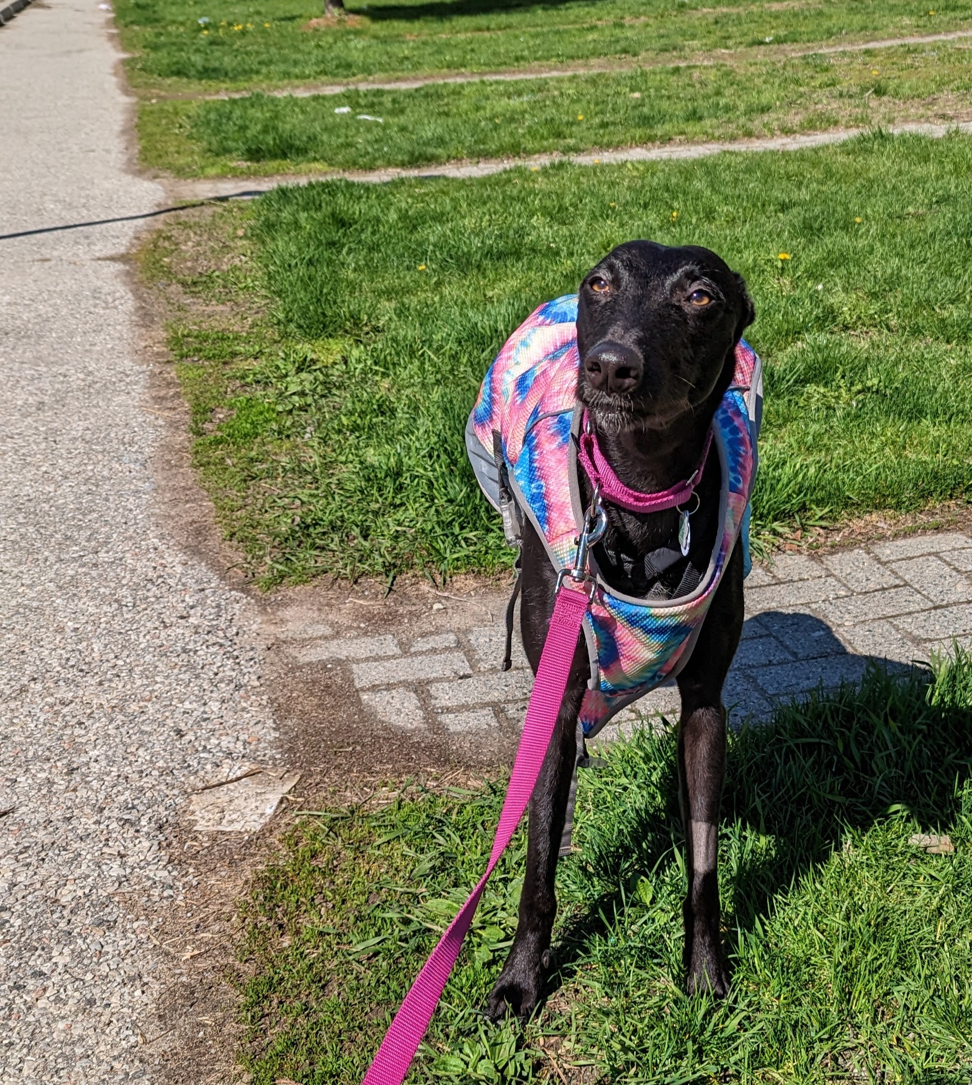 Phantom 2221-pxl20230506140635713-16850548731245.jpg