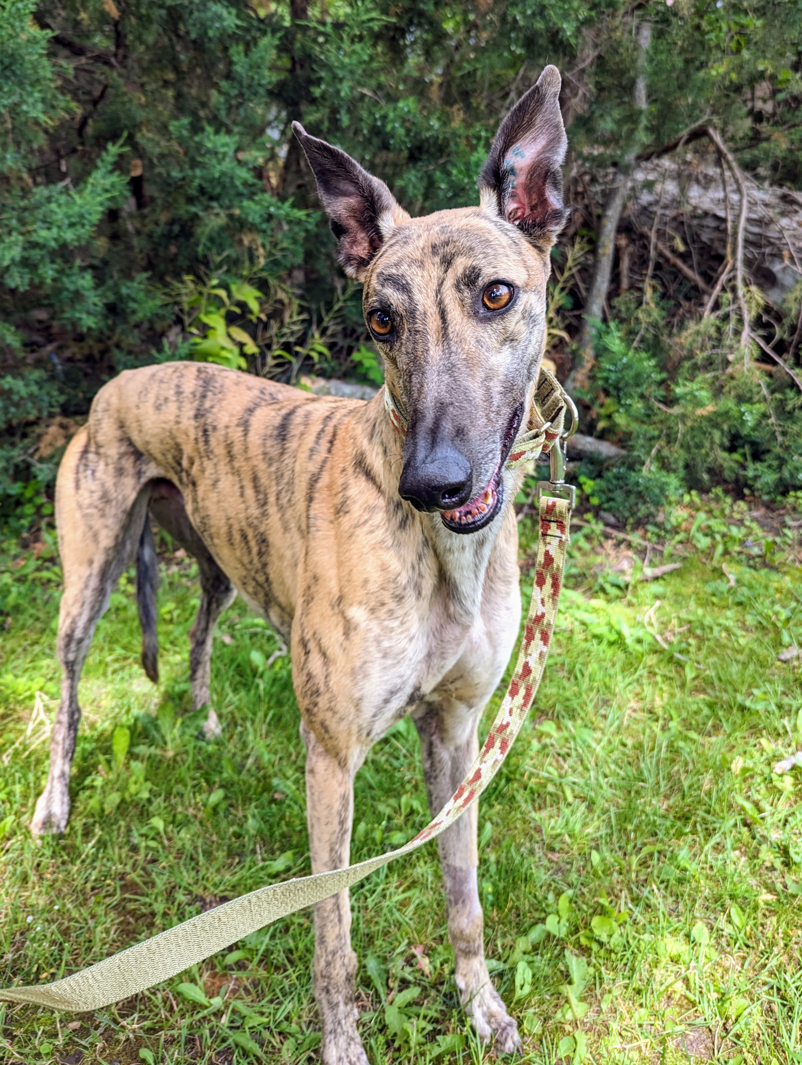 Keeper Cry - George 2221-pxl20230703143230420-1691777227322.jpg