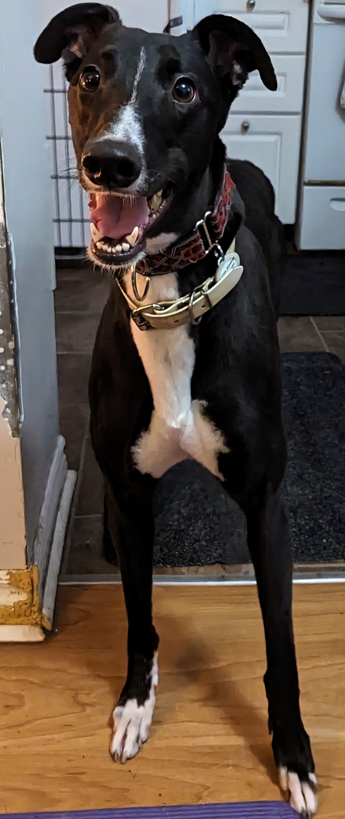 Mae - Mae 2221-pxl202311071257567622-17022508663661.jpg