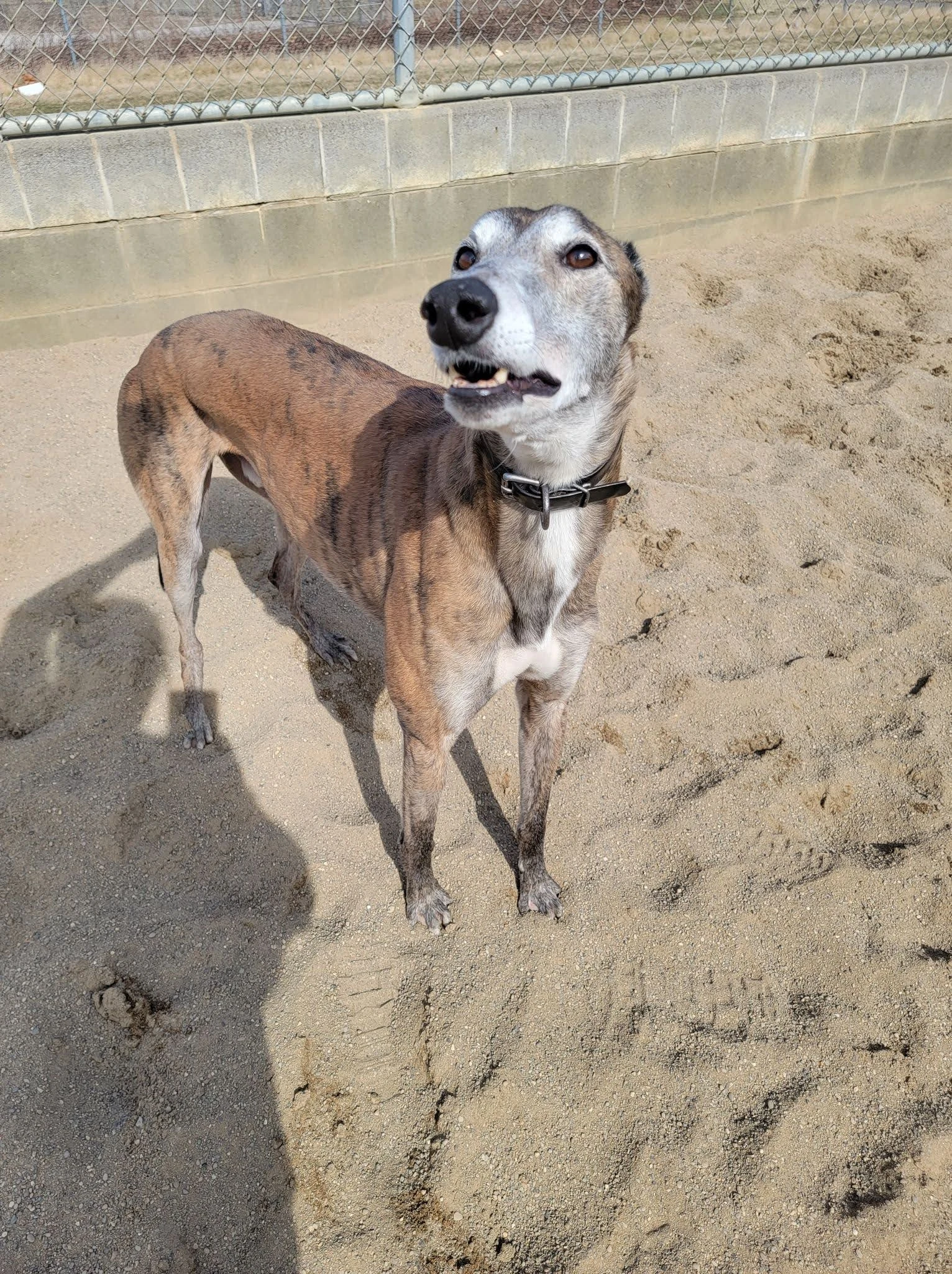 Blood Red Sky - Vesta 2225-27509263916180914585245963737313280127857127n-17331021670245.jpg