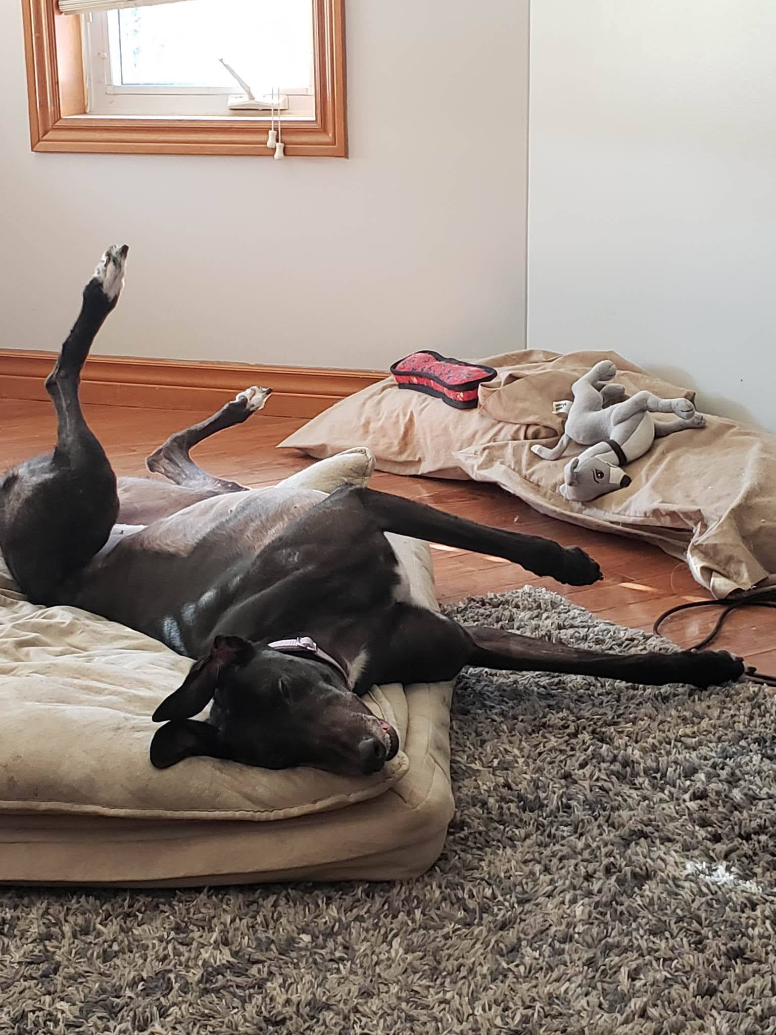 XK Hold On - Holdie 2225-31635264059819562318562343177210744520907676n.jpg