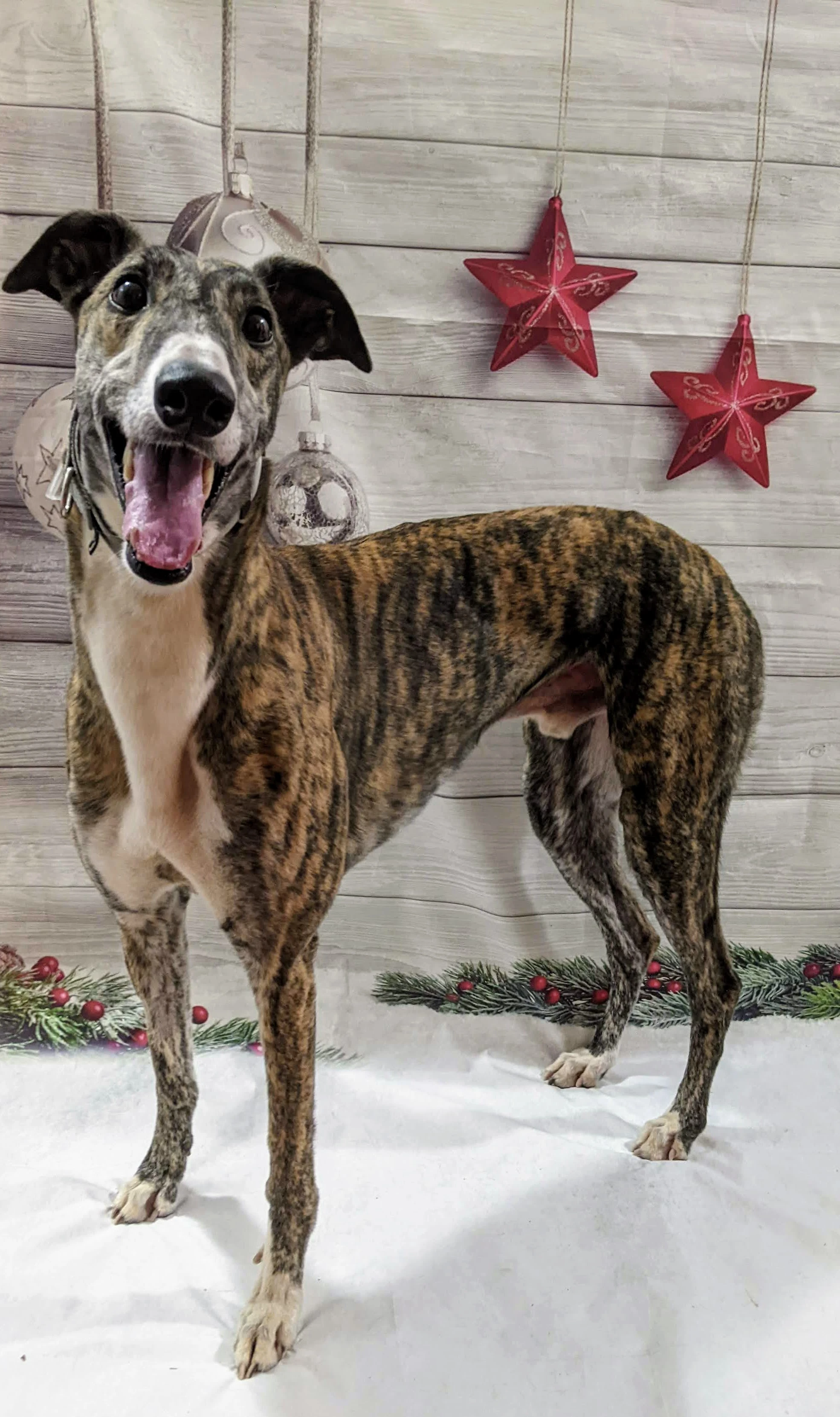 Pruvit - Luka 2225-pxl20211206141654137-17331021518091.jpg