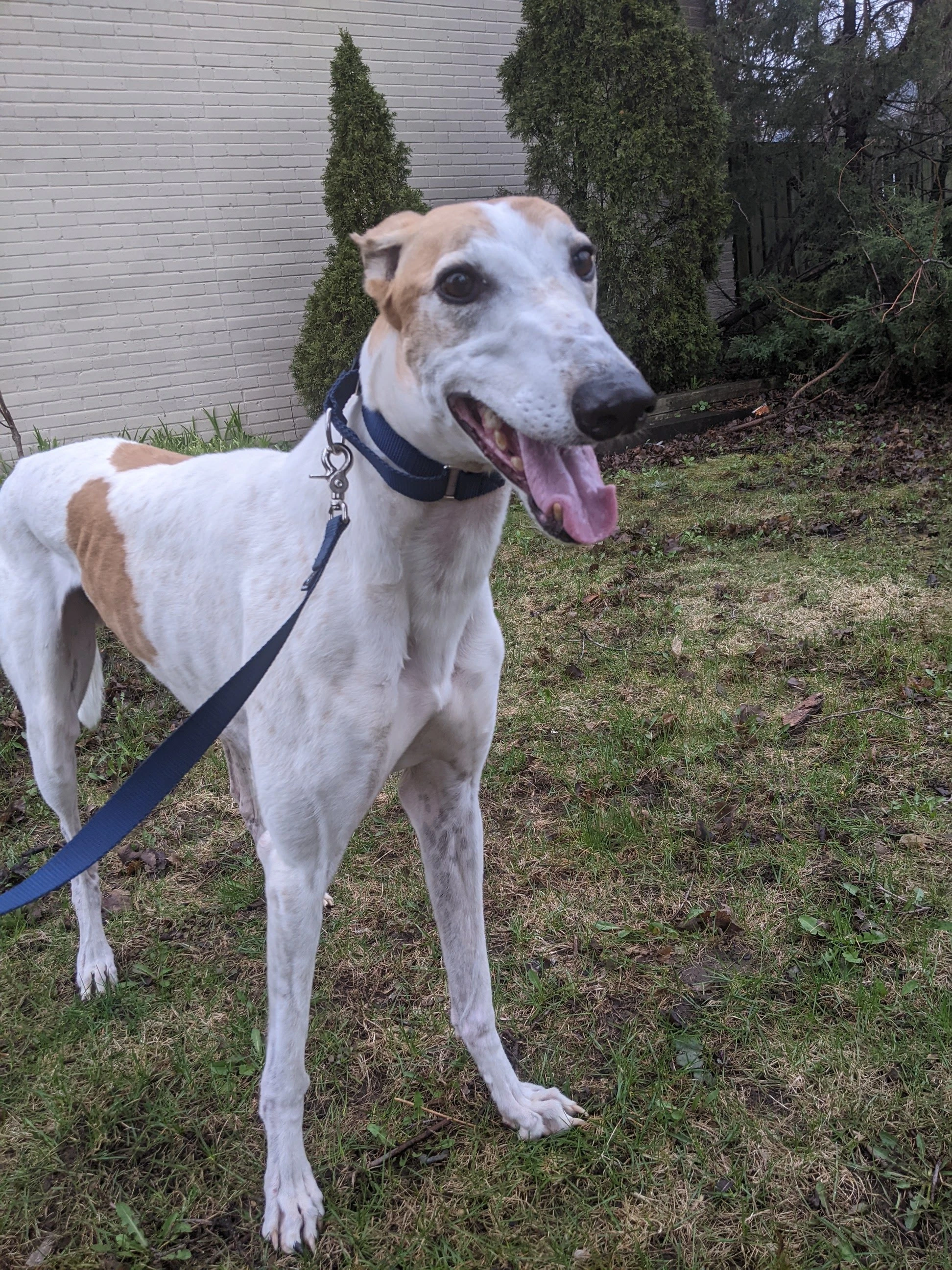 Cg's Electric - Electric 2225-pxl20220426122318887-17331463634025.jpg