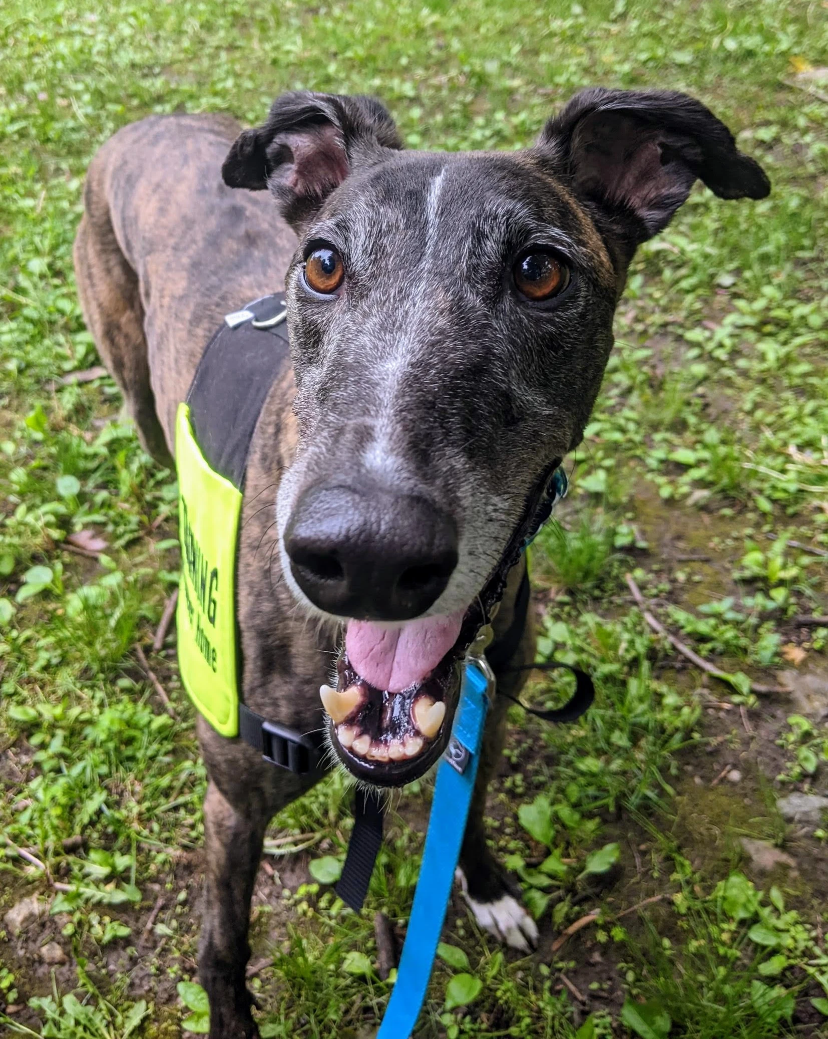 Ww Gothika - Winston 2225-pxl20220607204242999-17331514862196.jpg