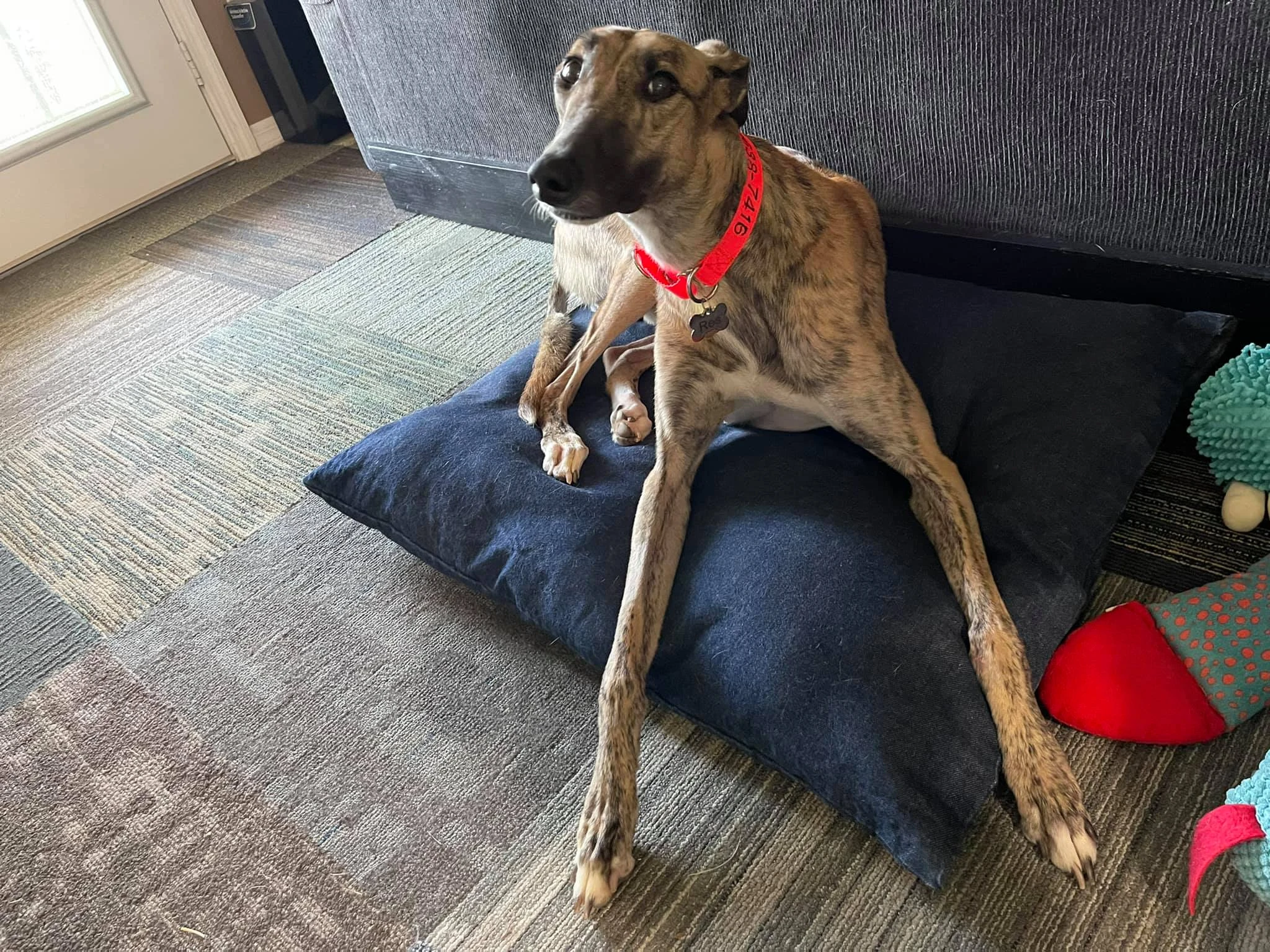 Ja's Resilient - Res 2230-2410231284713345948699486811277693286878761n-17331049372469.jpg