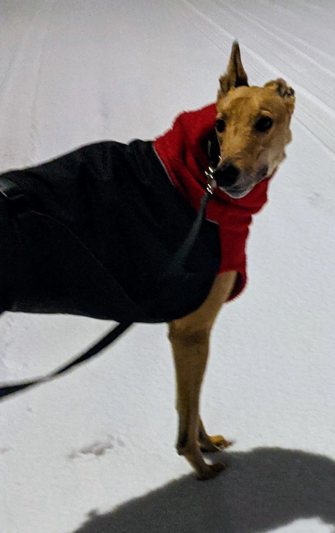 Rs's Hammerdown - Ranger 2230-original0ed0bd83-a1ae-47c2-88e7-54b13328dae6pxl20201228092939104-17331059317537.jpg