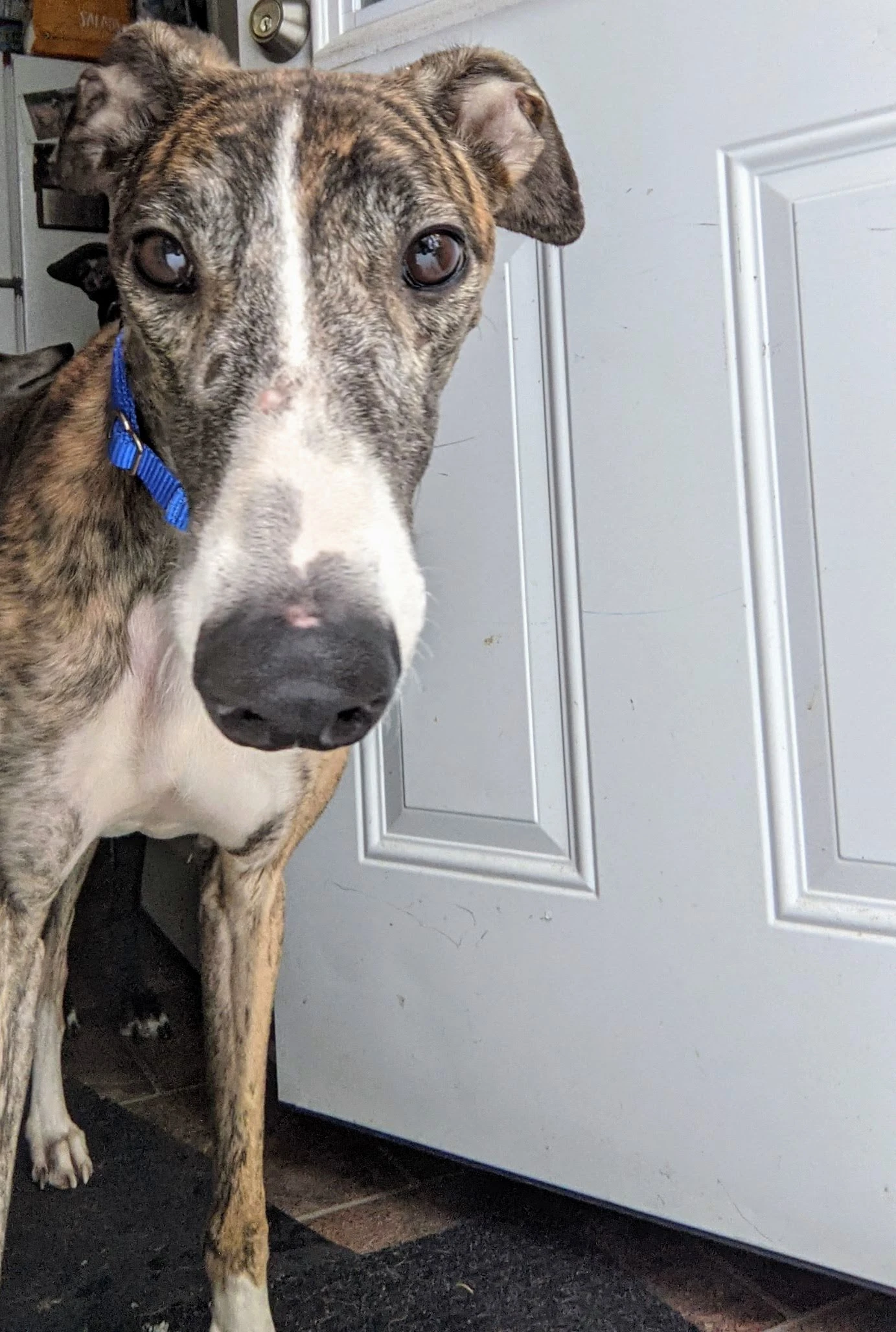 Pat C Google It - Google 2230-pxl20201230170846304-17331059317391.jpg