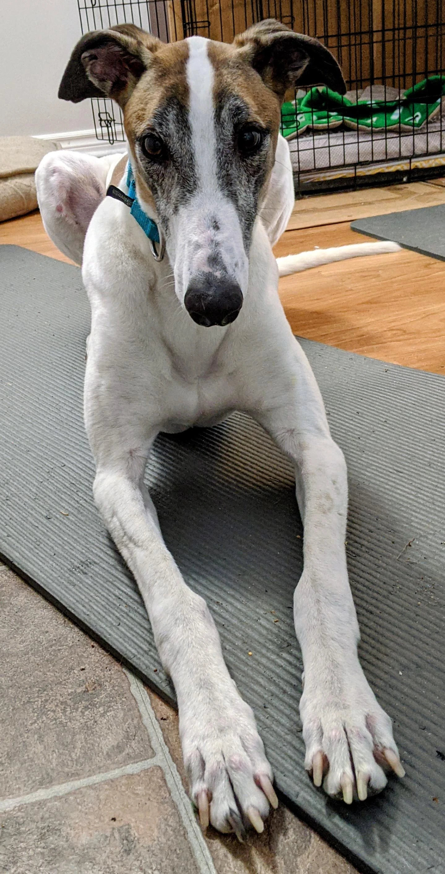 Vj Made For This - Max 2230-pxl202102051413020882-17331058118853.jpg