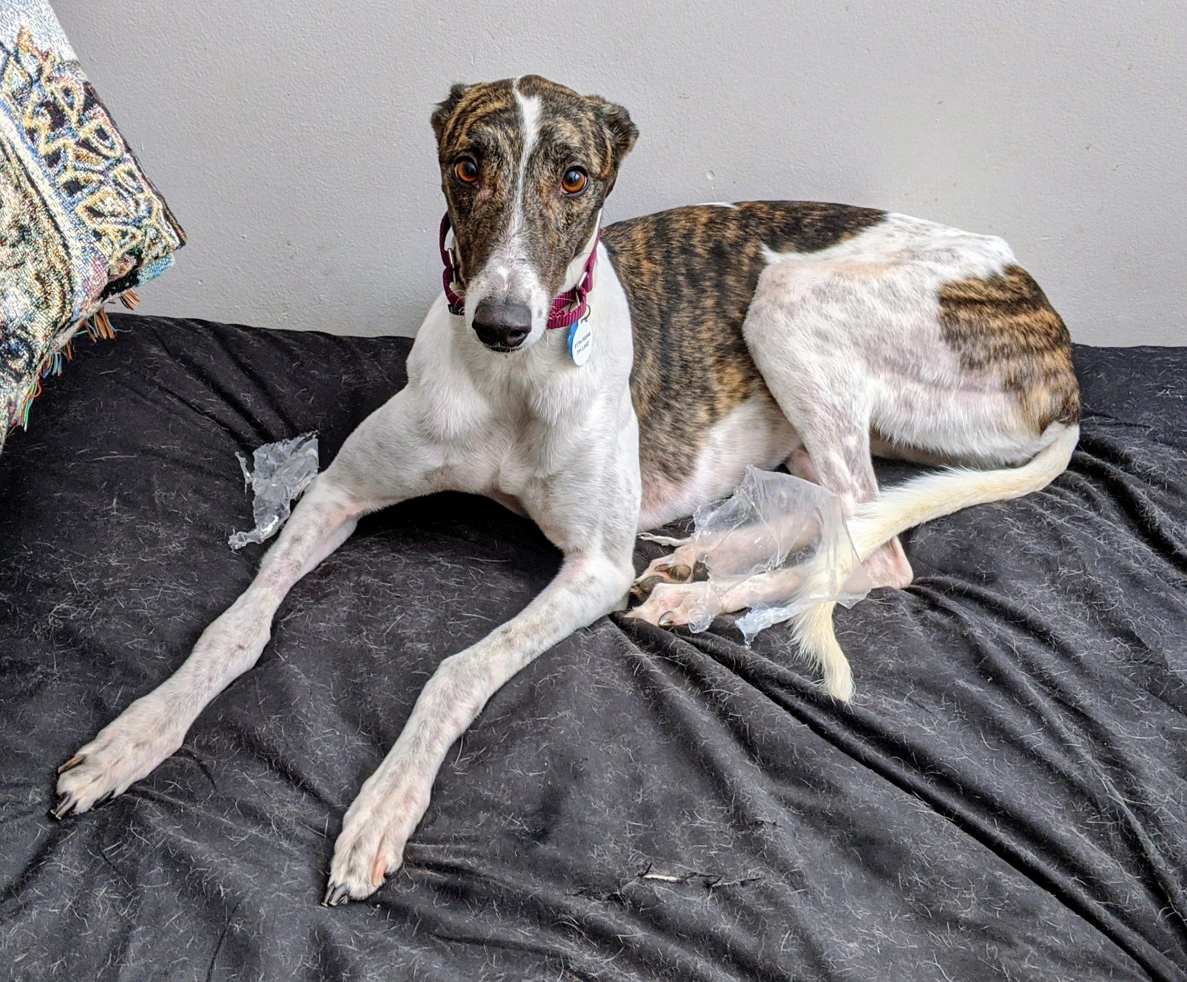 Shes Got A Way - Away 2230-pxl202102252019466662-17331416121497.jpg