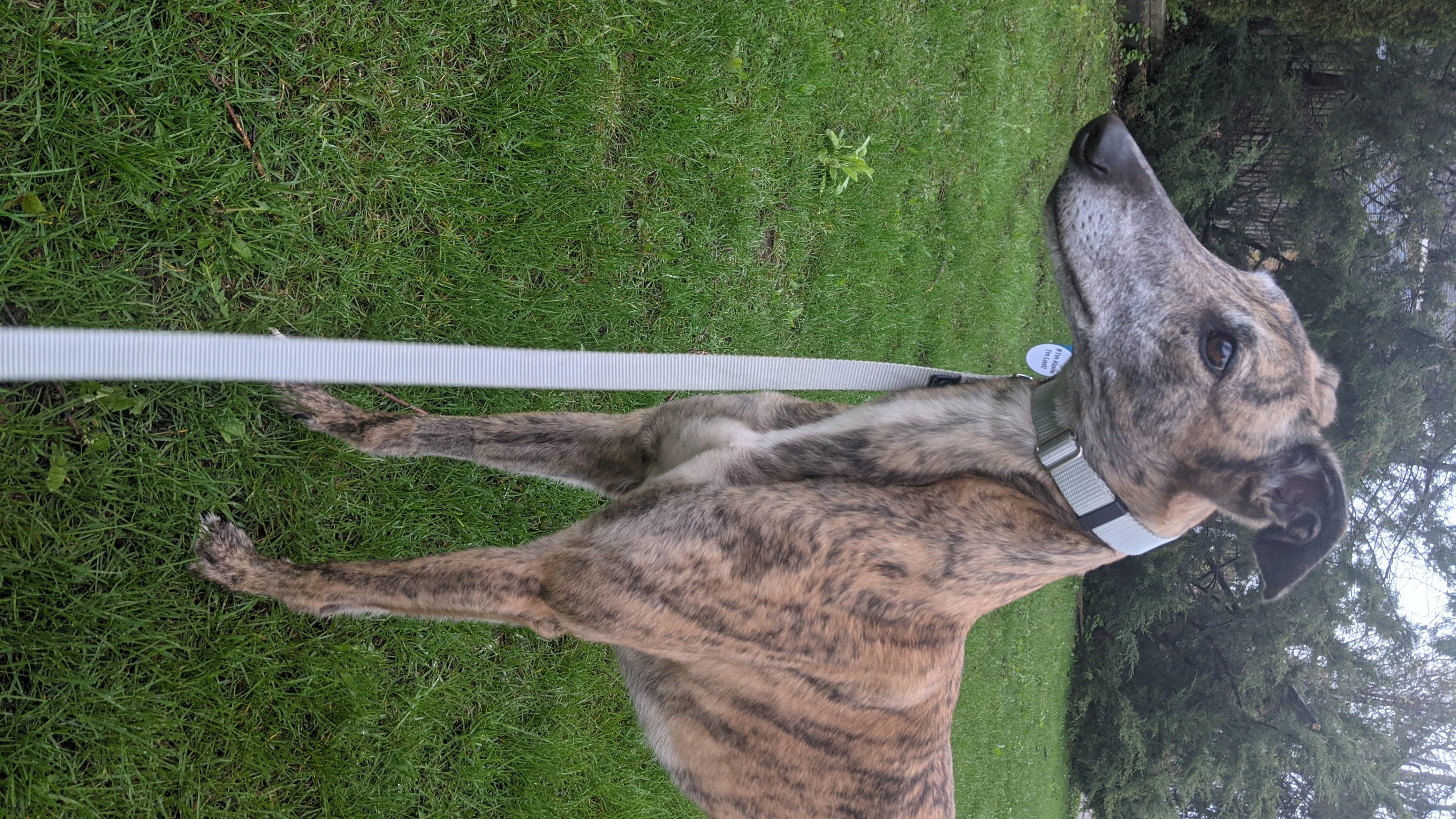 Me No Care - Nemo 2230-pxl20210505103627395-17331056812494.jpg