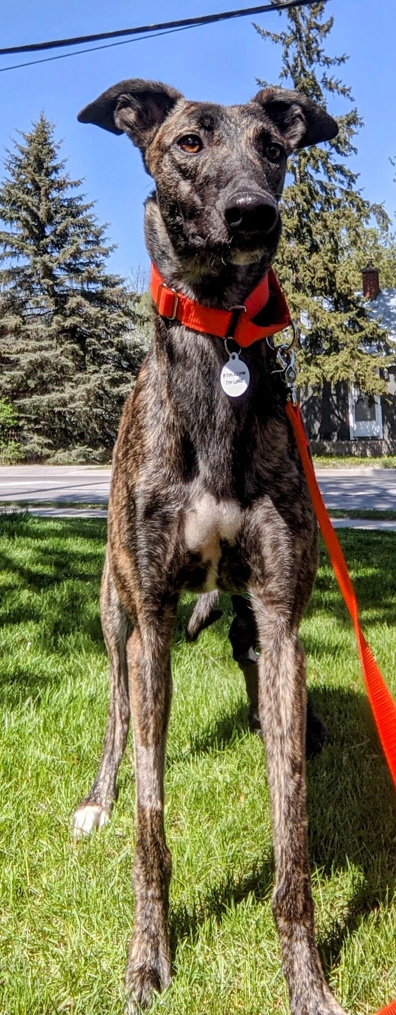 Blaise - Blaise 2230-pxl202105181935251032-17331056143836.jpg