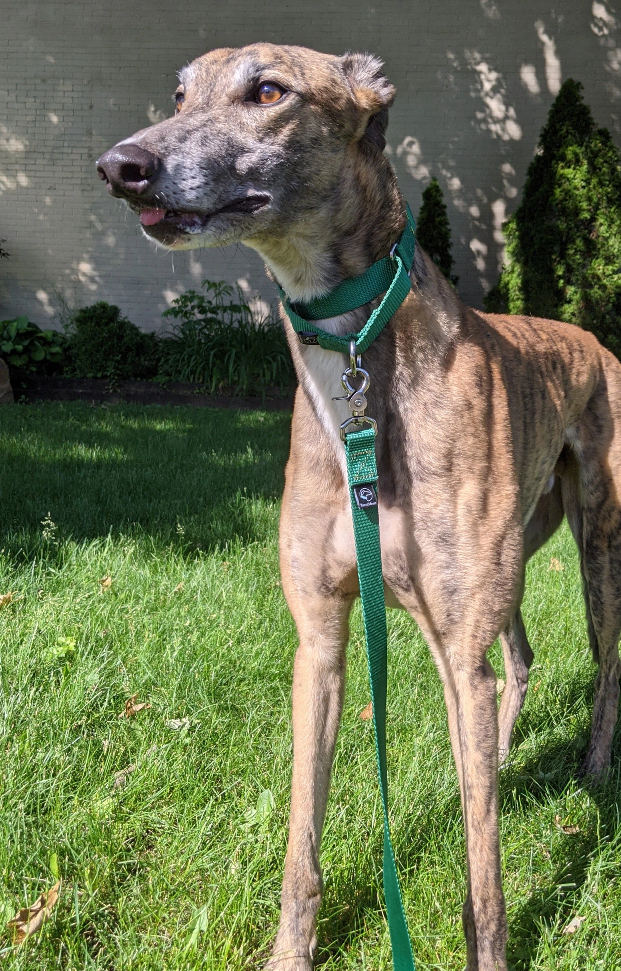 Ww The Who - Who 2230-pxl20210612130938039-17331055456649.jpg