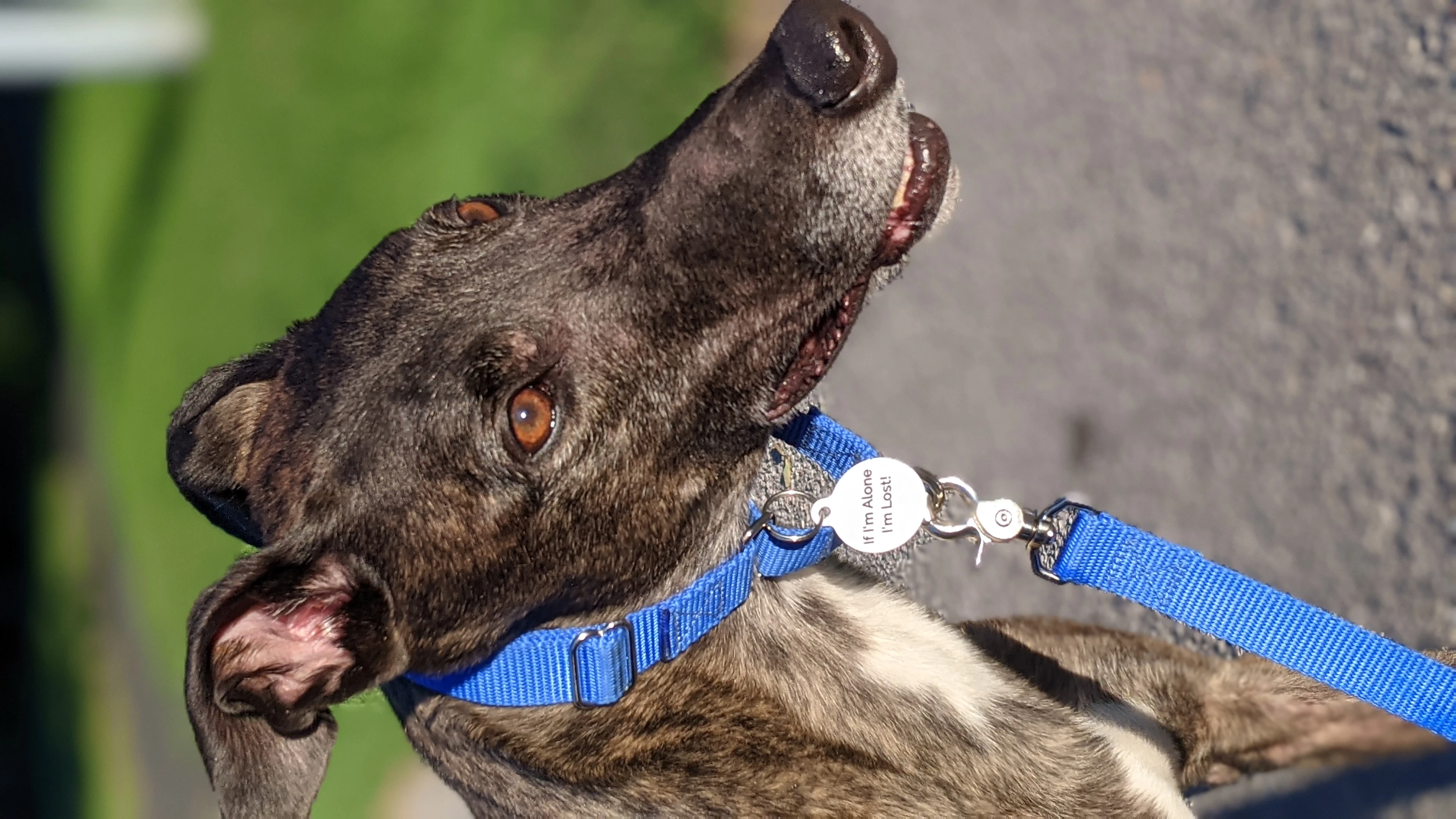 Gf Gurkha - Tag 2230-pxl20210617103721973portrait-17331055192194.jpg