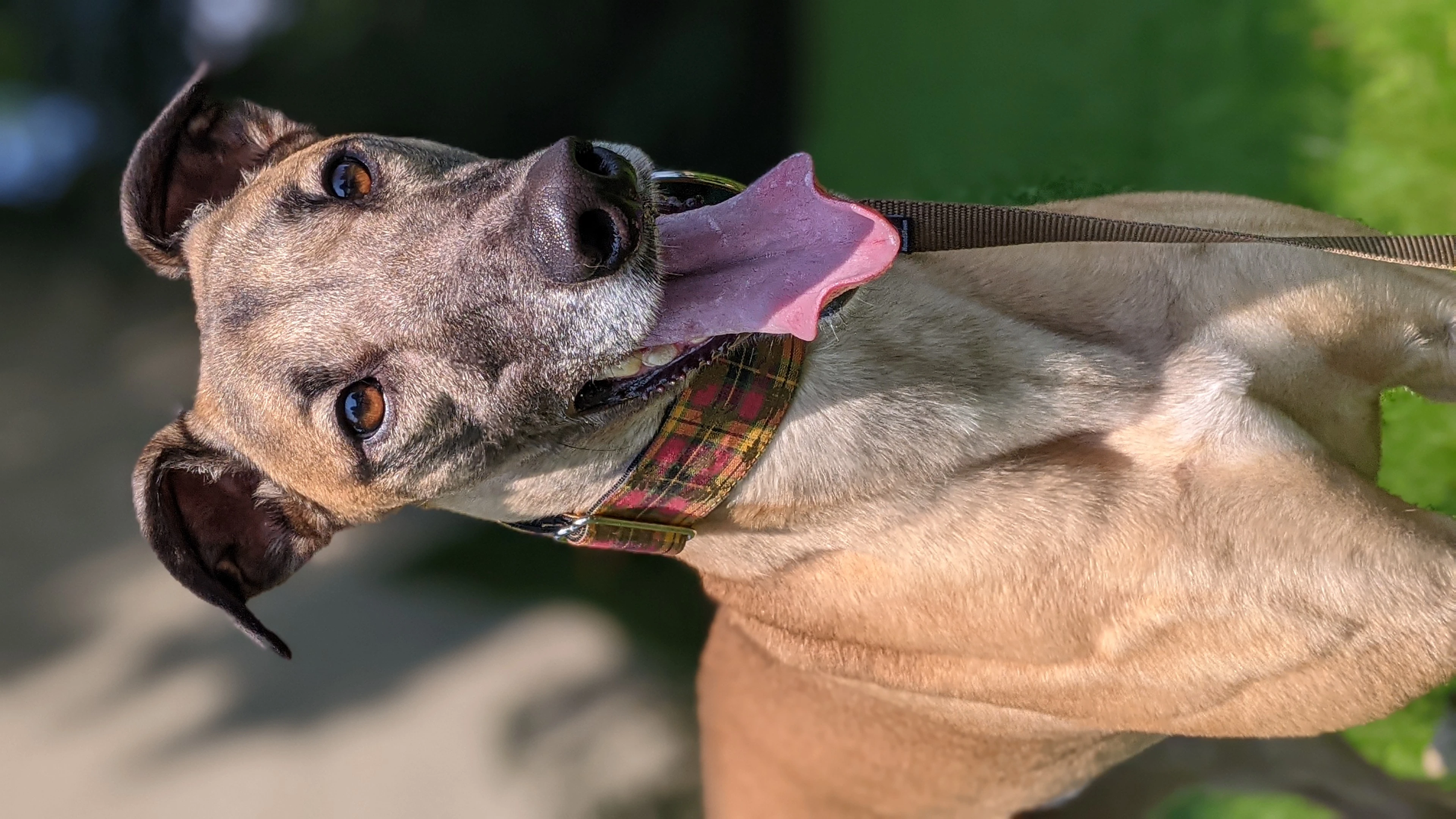 Ja's Tomorrow - Tommy 2230-pxl20210722151404727portrait-17331426769707.jpg