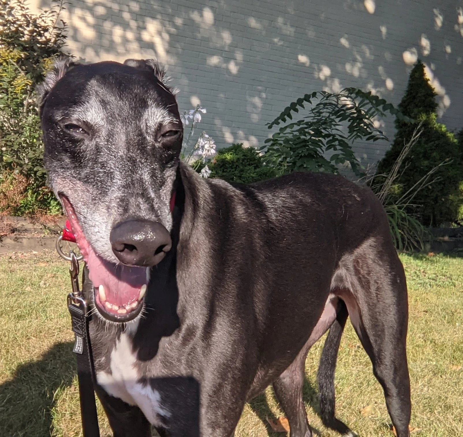 Damen - Damen 2230-pxl20210824123016796portrait-17331448619051.jpg