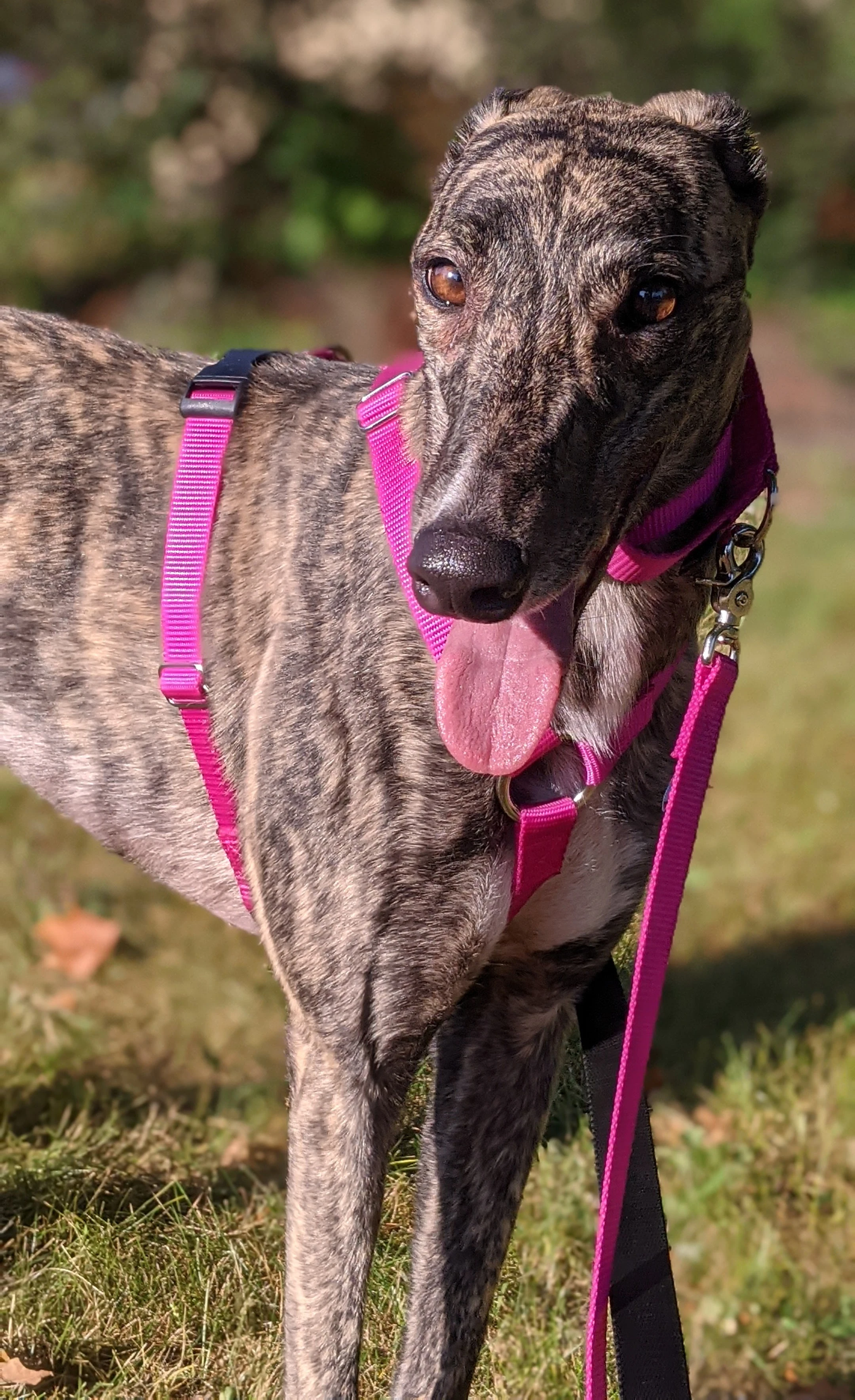 Ruthbadrginsburg - Ruth 2230-pxl20210824124048398portrait-17331049378049.jpg