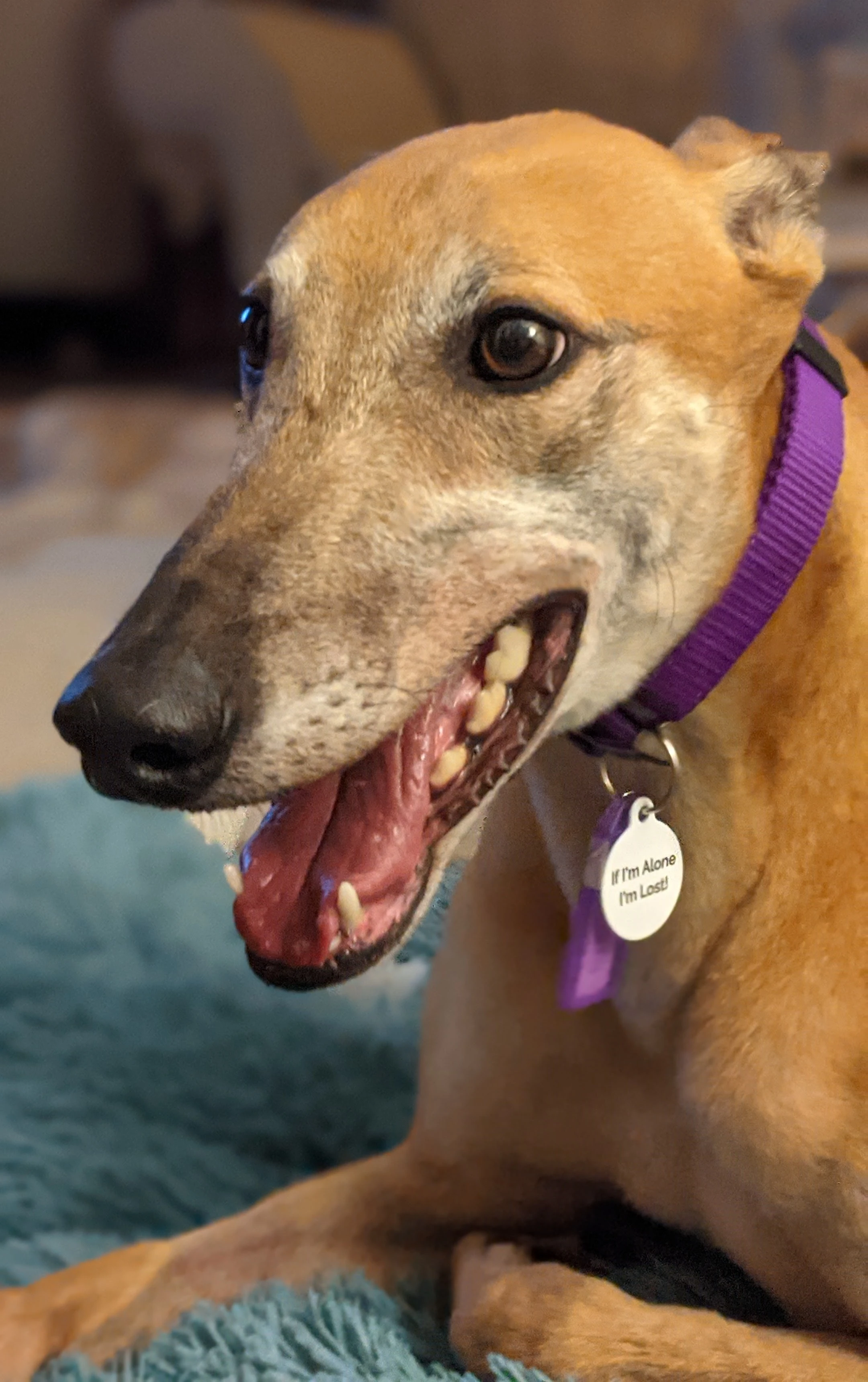 Gf Plasencia - Cia 2230-pxl20210827004814049portrait-17331450392244.jpg