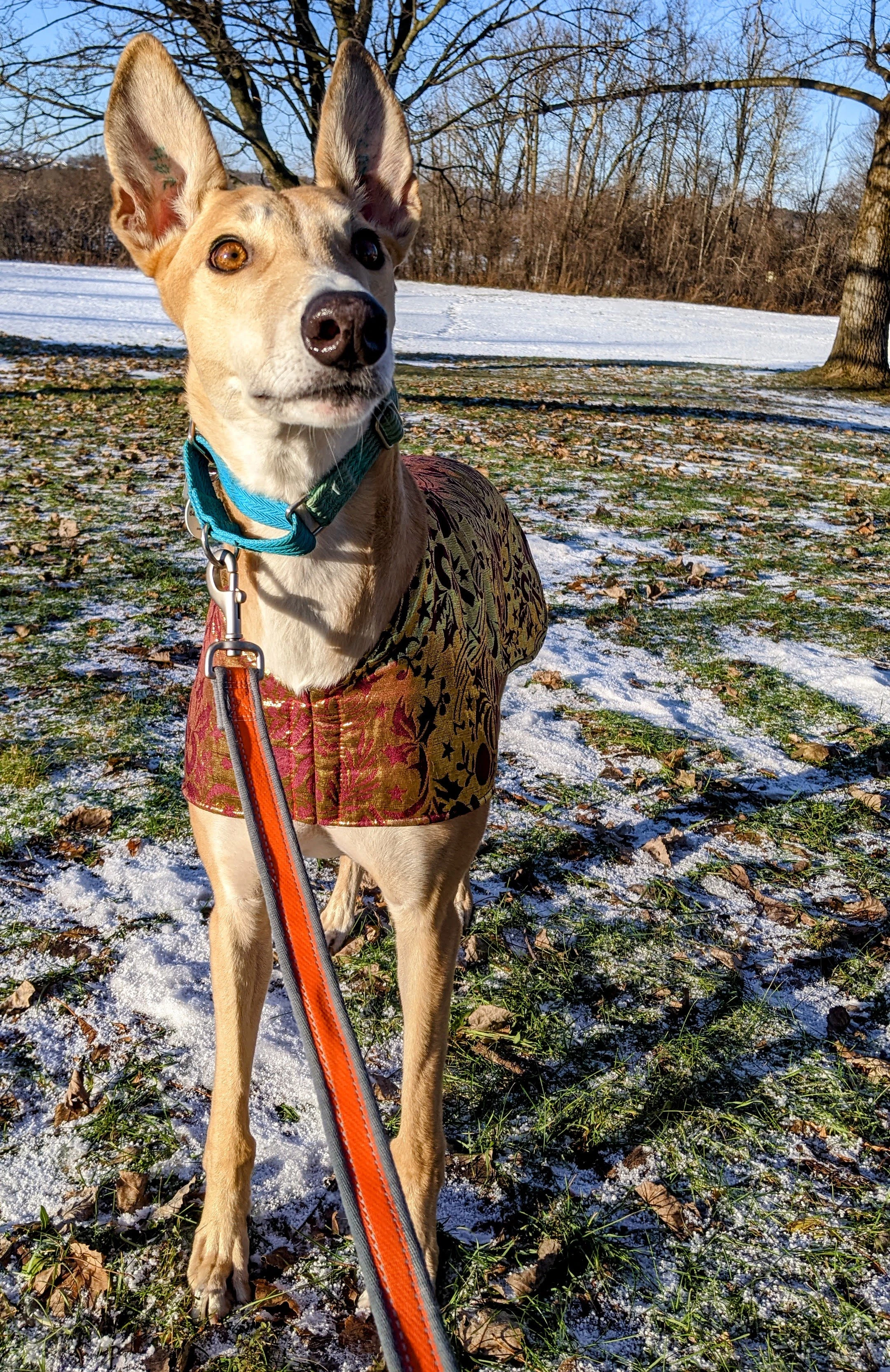 Mw'sDagar - Dagar 2230-pxl202112121426513982-17331049386793.jpg