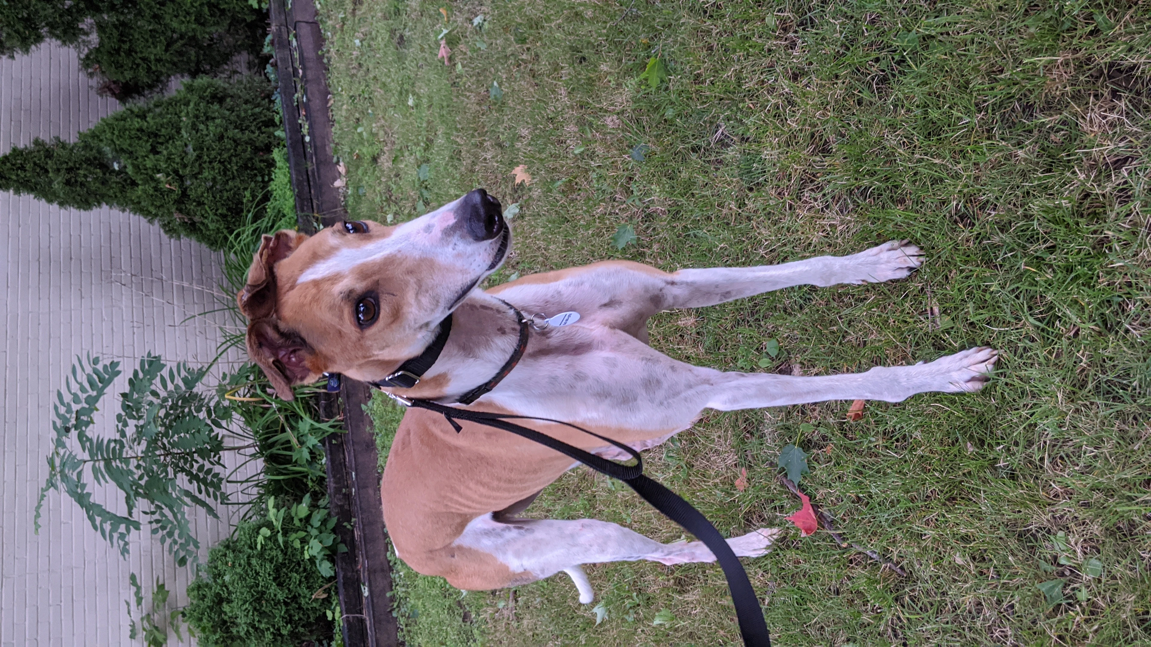 Windy Count - Count 2232-img20200828070542-1733106464464.jpg