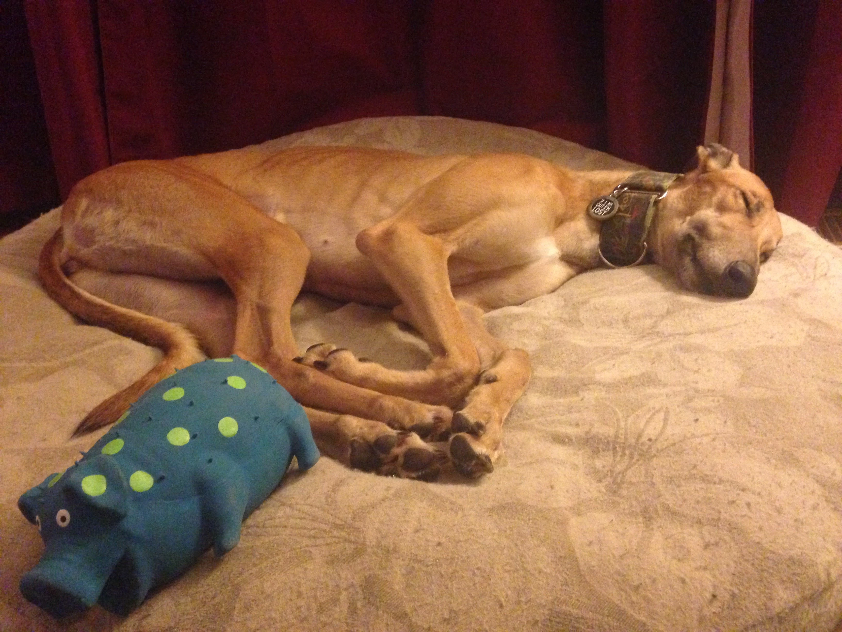 Ww's Bellavue - Bella 2238-46---passed-out-17331124103019.jpg