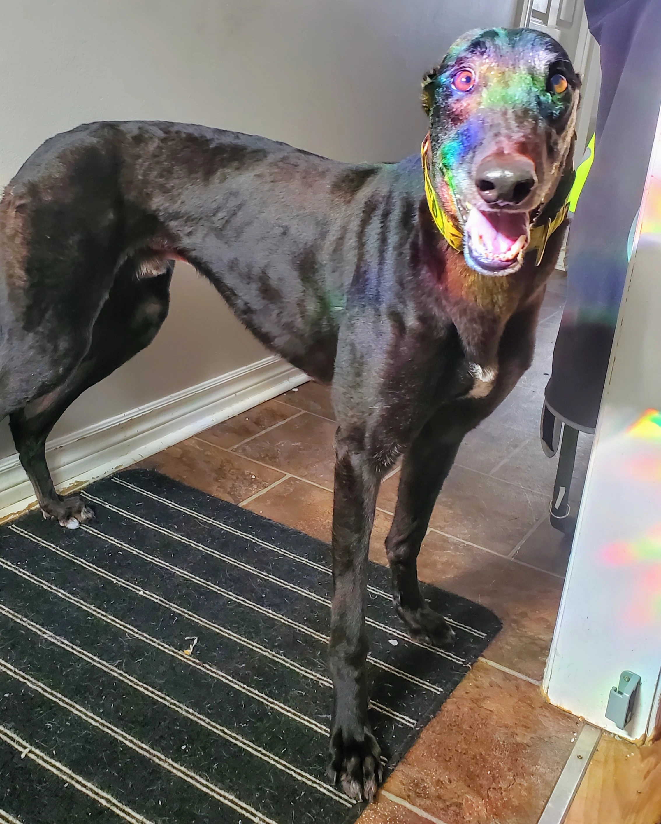 Knockaboul Syd - Syd 2274-202502041218542-1739114184463.jpg