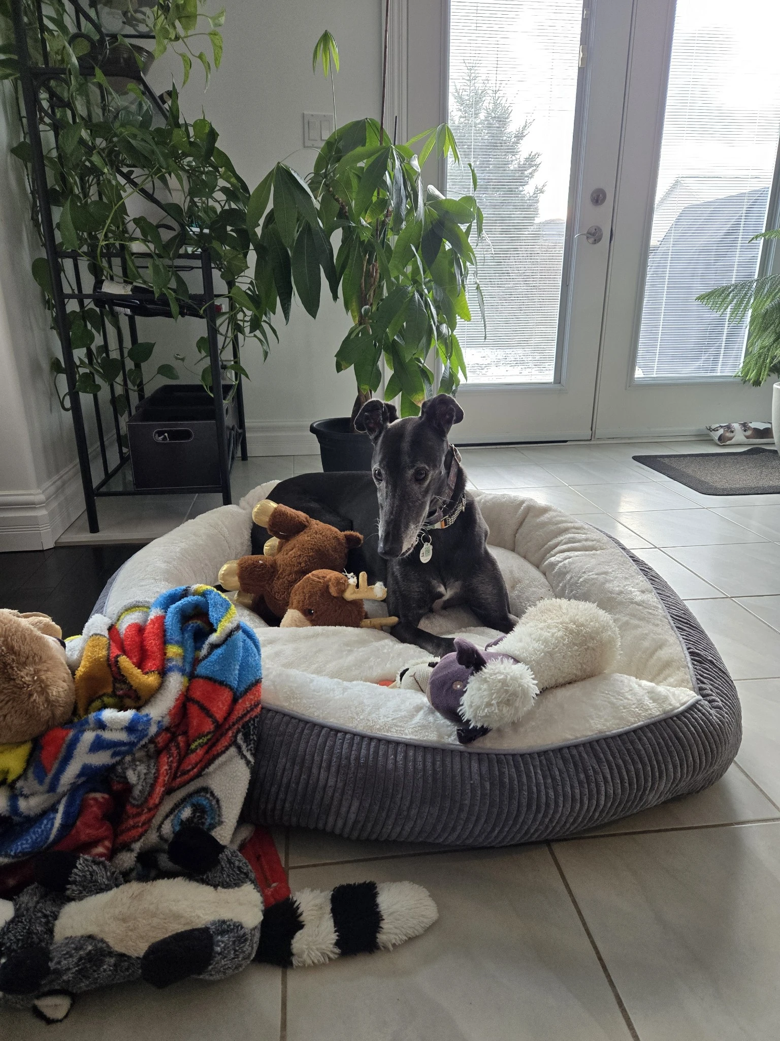 Steeple Rd Barry - Chesky 2274-img20250113084532-17367776700016.jpg