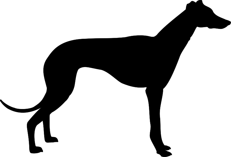 Fgf New Brass - Brass 39-137317-17354972856131.png