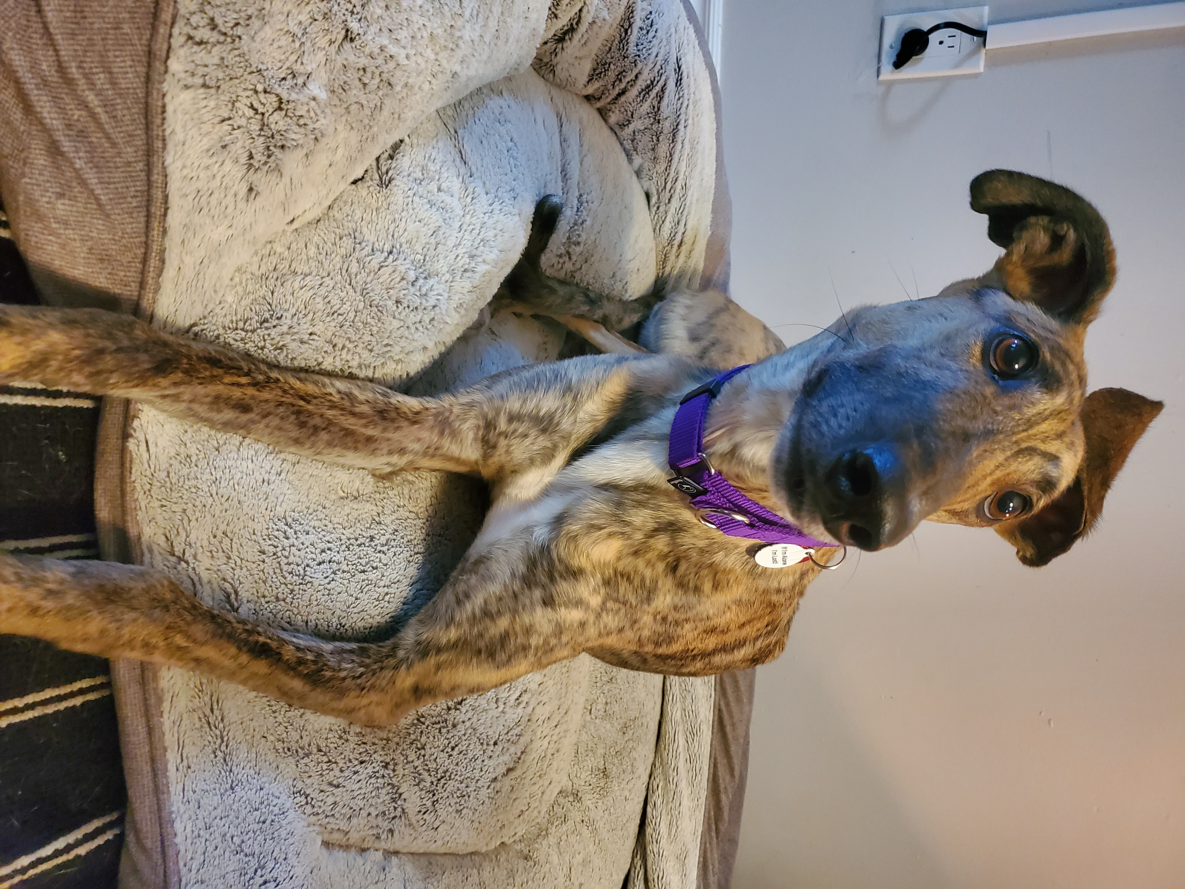 Ubx Start Over - Heather 41-20240719073053-17221970329973.jpg