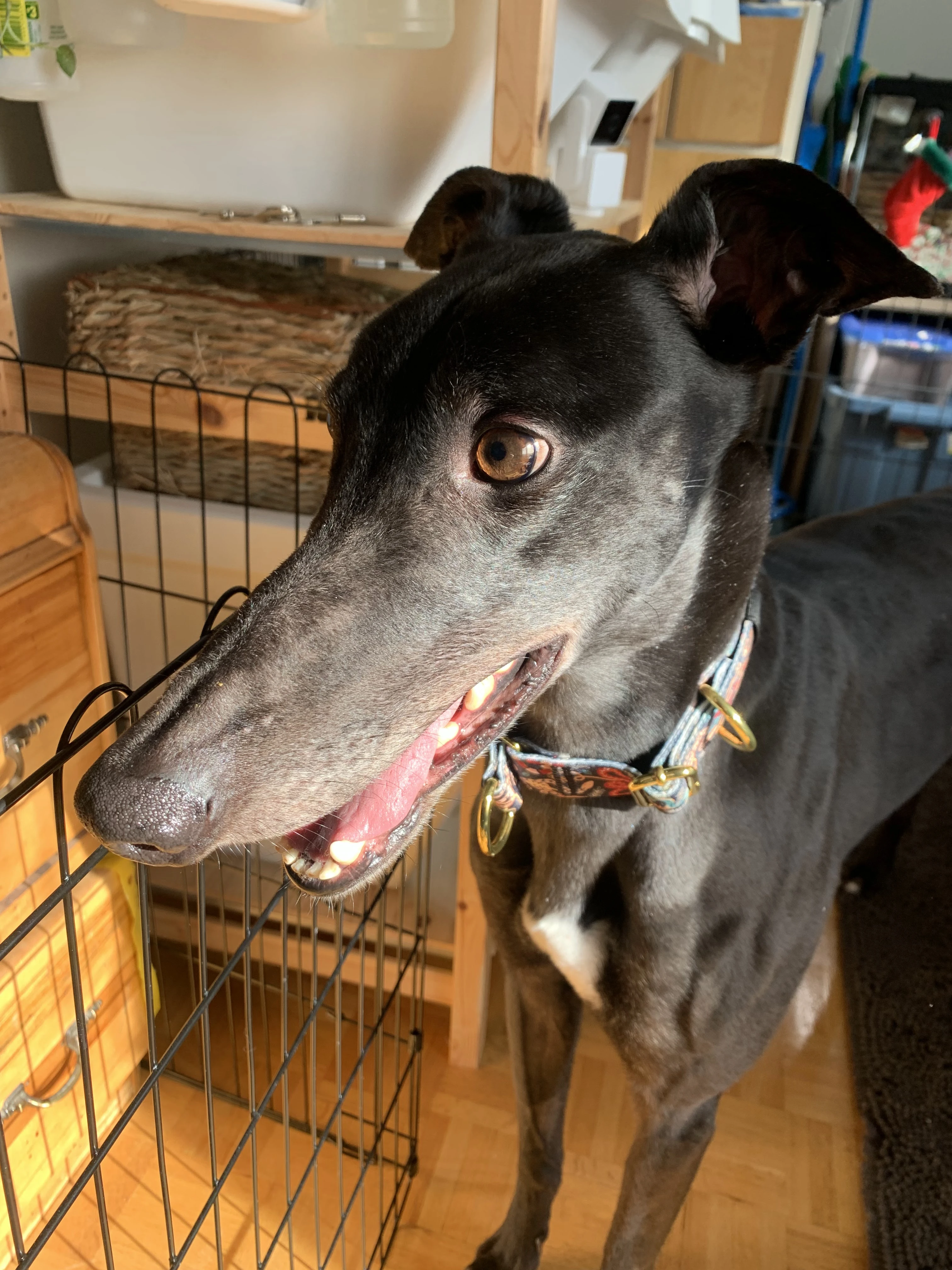 KB's Knee Deep - Knee 41-img9921-17062839602863.jpg