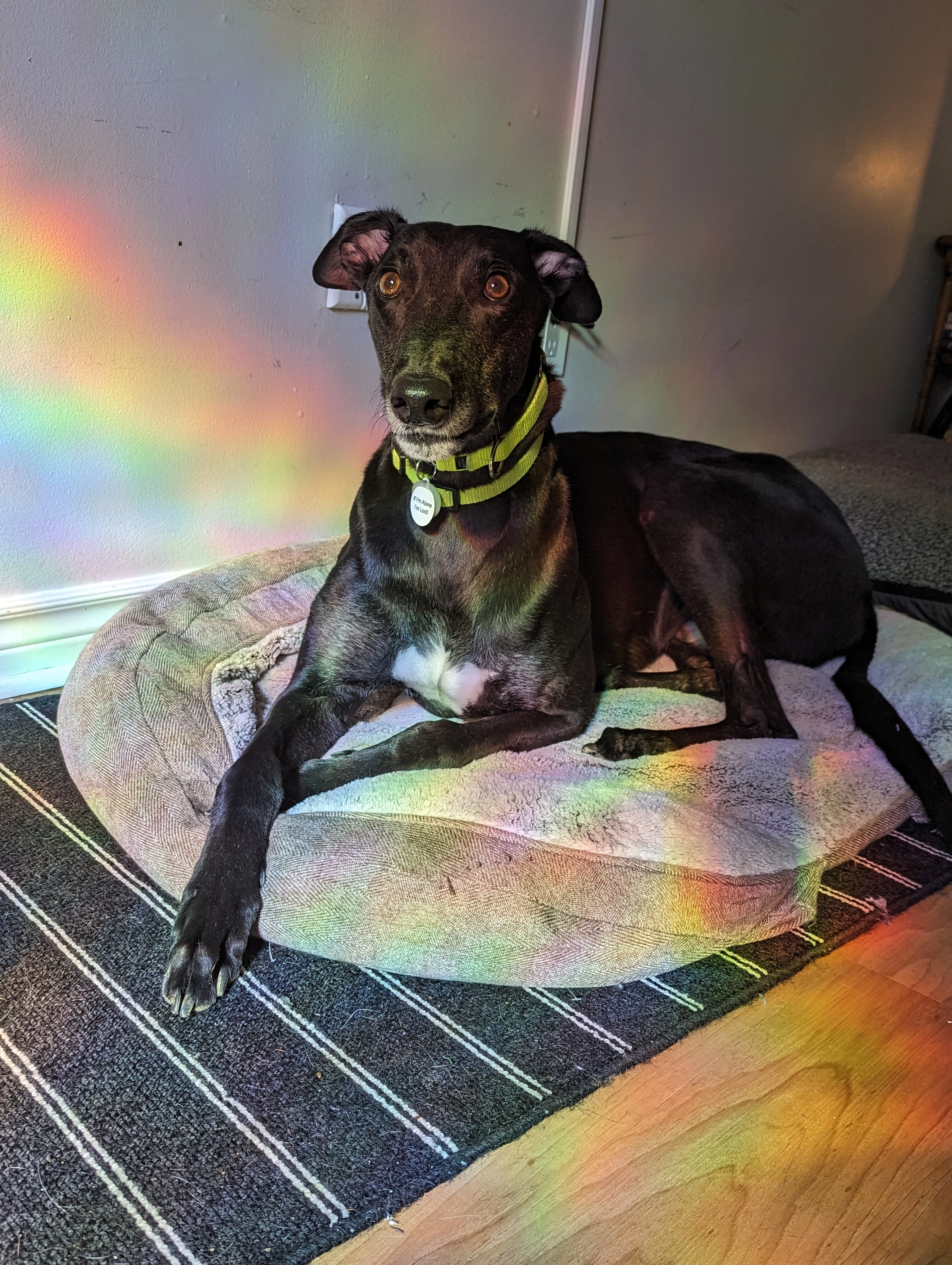 Azza - Azza 41-pxl20240406140156357-17156959742544.jpg