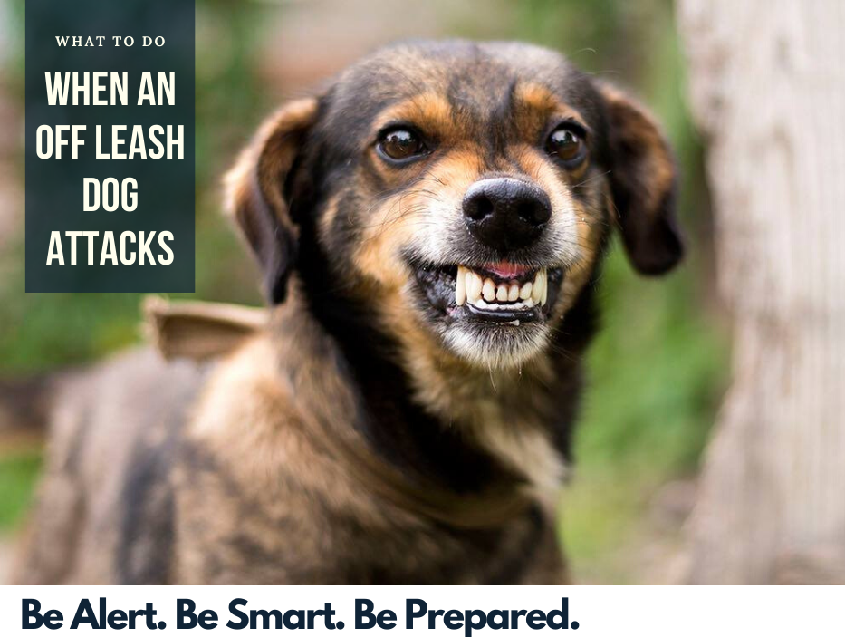 What To Do When An Off Leash Dog Attacks