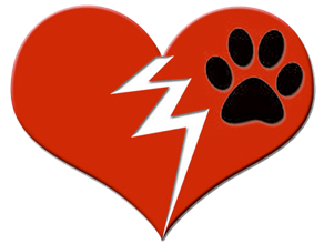 It's Ok To Rehome  Your Dog